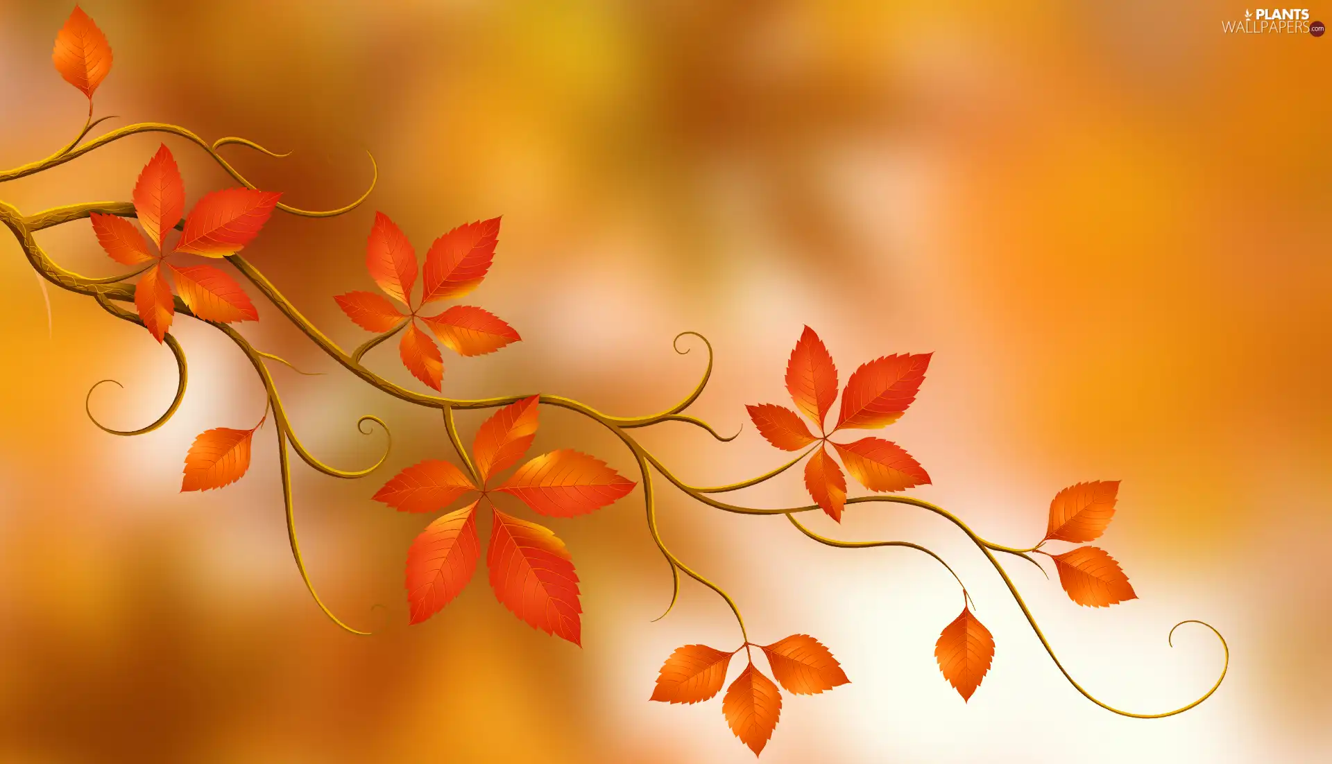 blurry background, 2D Graphics, Leaf