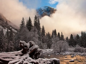 trees, Mountains, Fog, winter, viewes, River