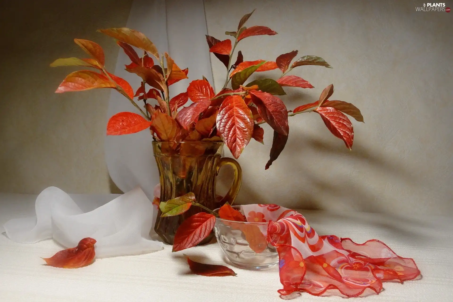 bouquet, Leaf, apatite, Twigs