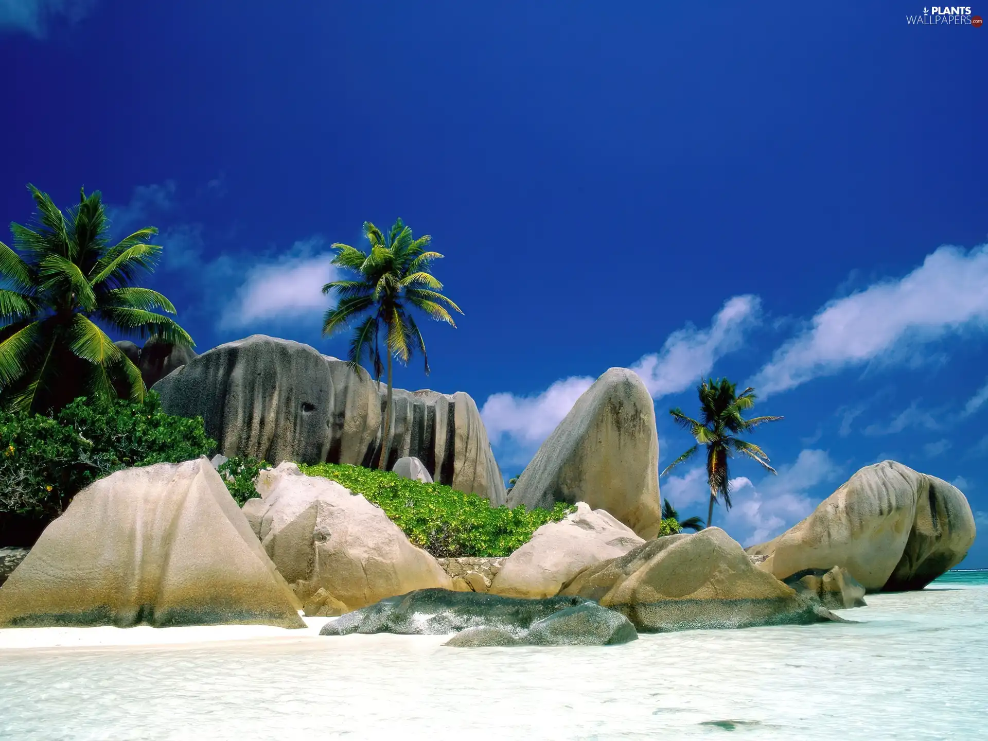 Blue, Sky, rocks, Palms, Beaches