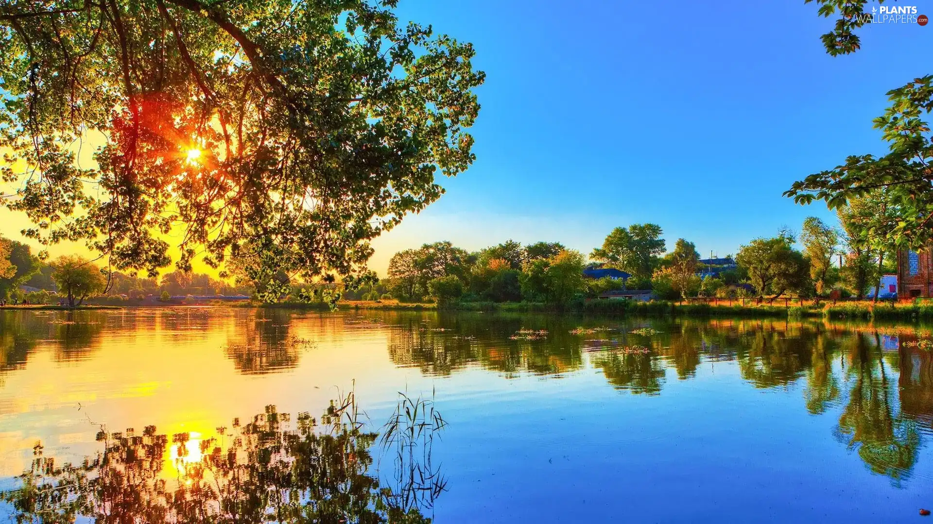 lake, viewes, light breaking through sky, trees