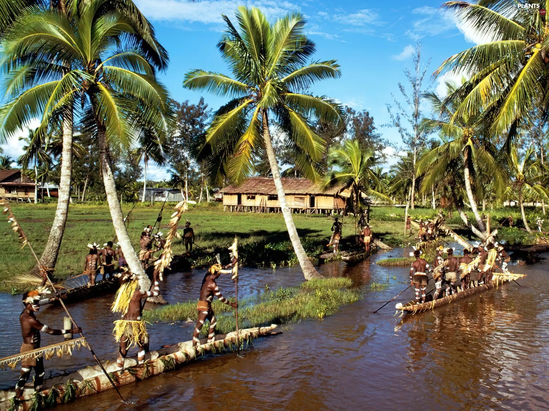 canoe, Palms, indonesia, River, Island