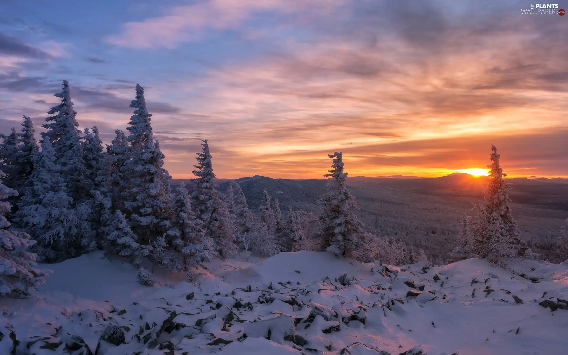 trees, forest, Great Sunsets, Snowy, winter, viewes, clouds