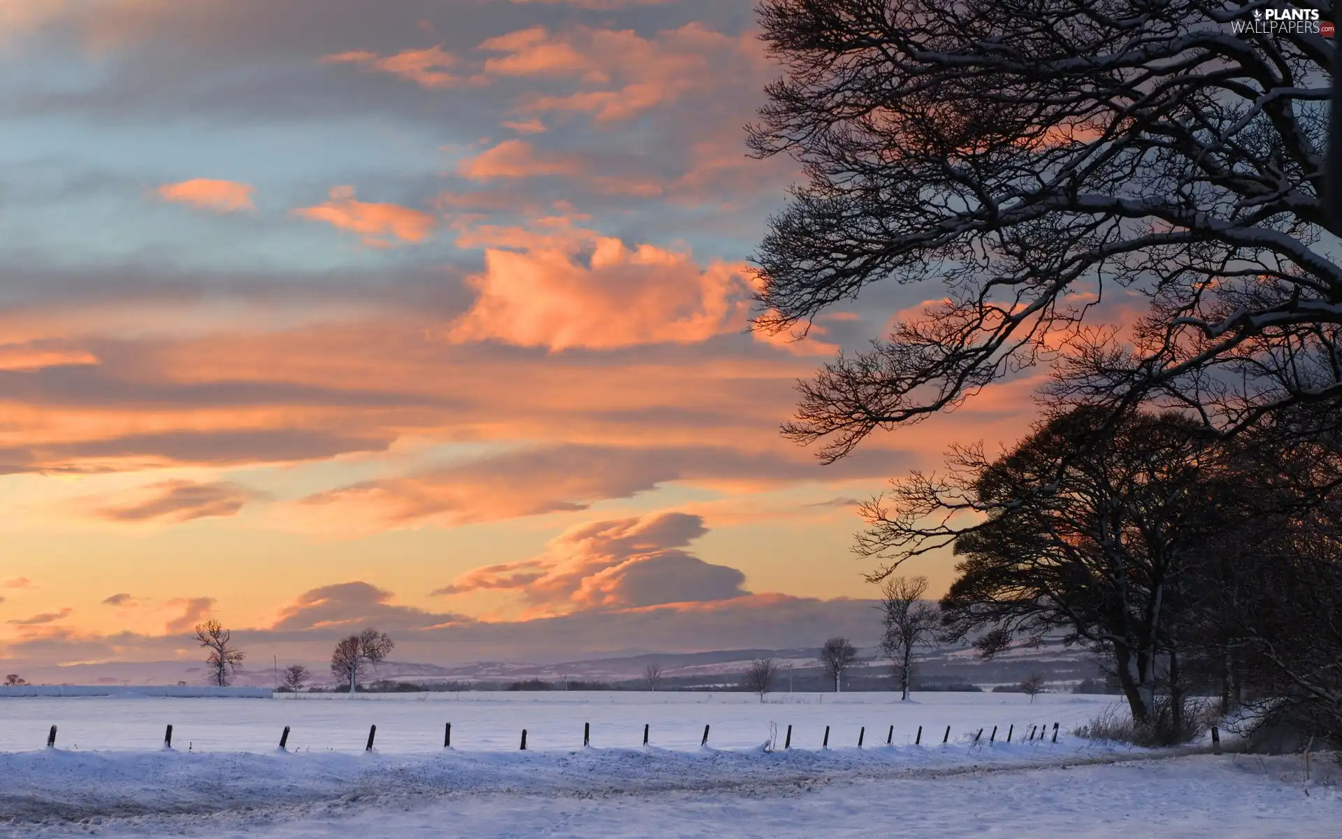 trees, field, clouds, winter, viewes, Mountains