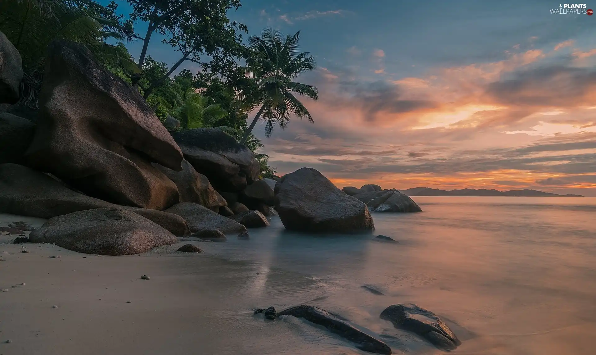 viewes, sea, coast, Stones, Palms, trees