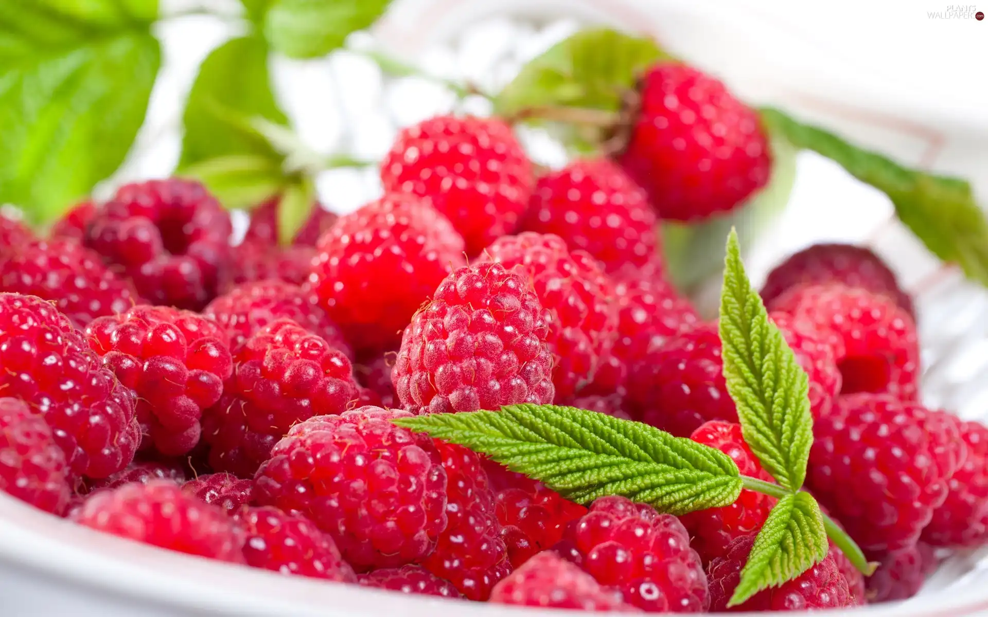 dish, raspberries, leaves