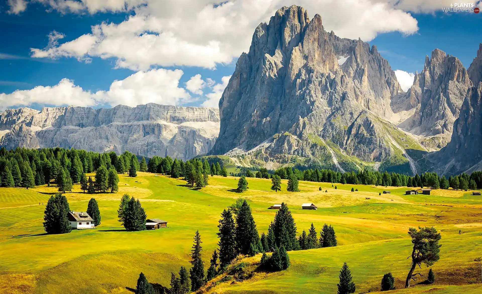 woods, field, clouds, Houses, viewes, Valley, Mountains, trees