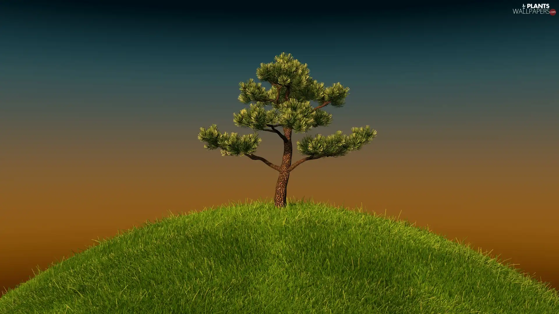 graphics, lonely, trees