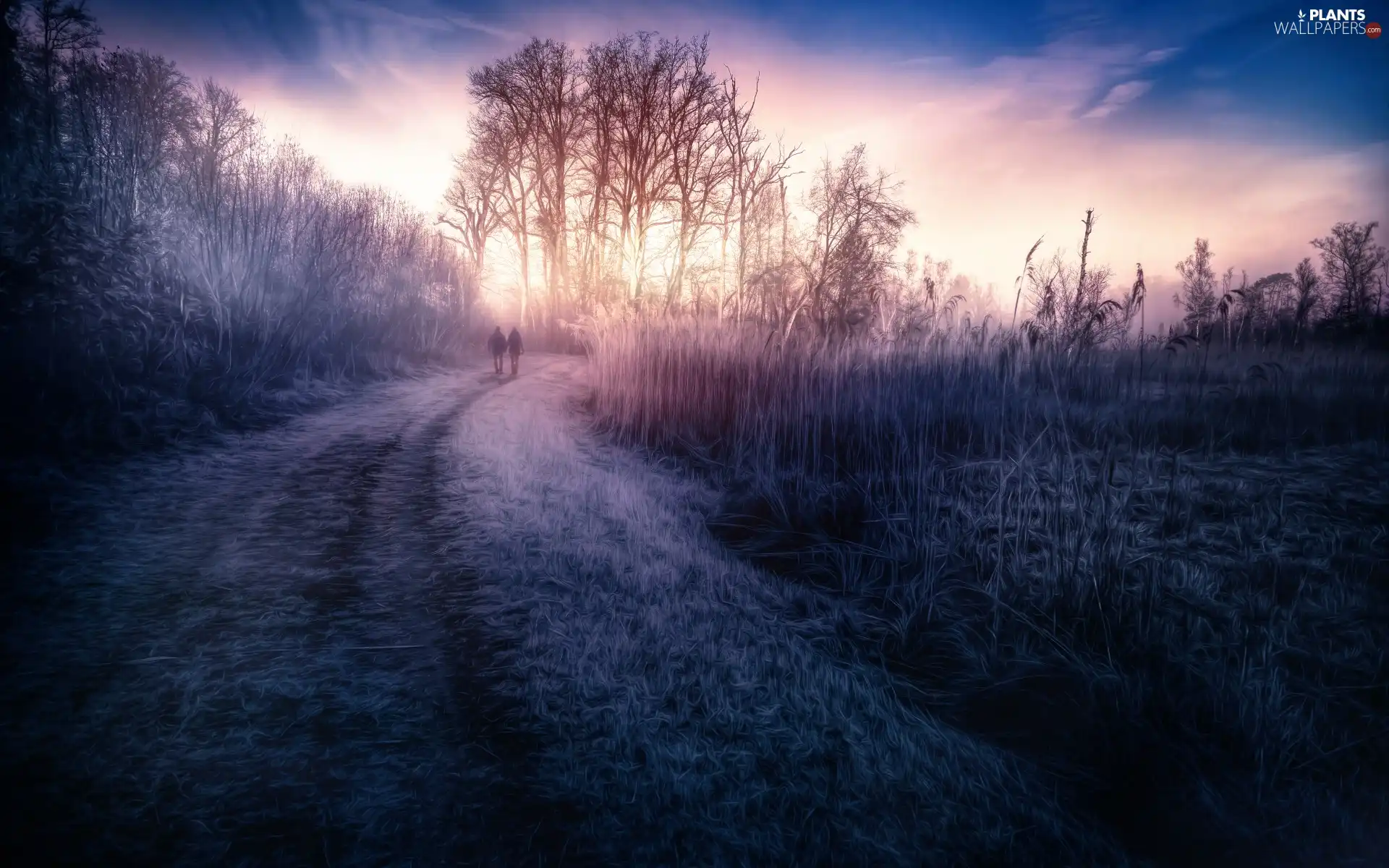 grass, Fractalius, trees, viewes, Way