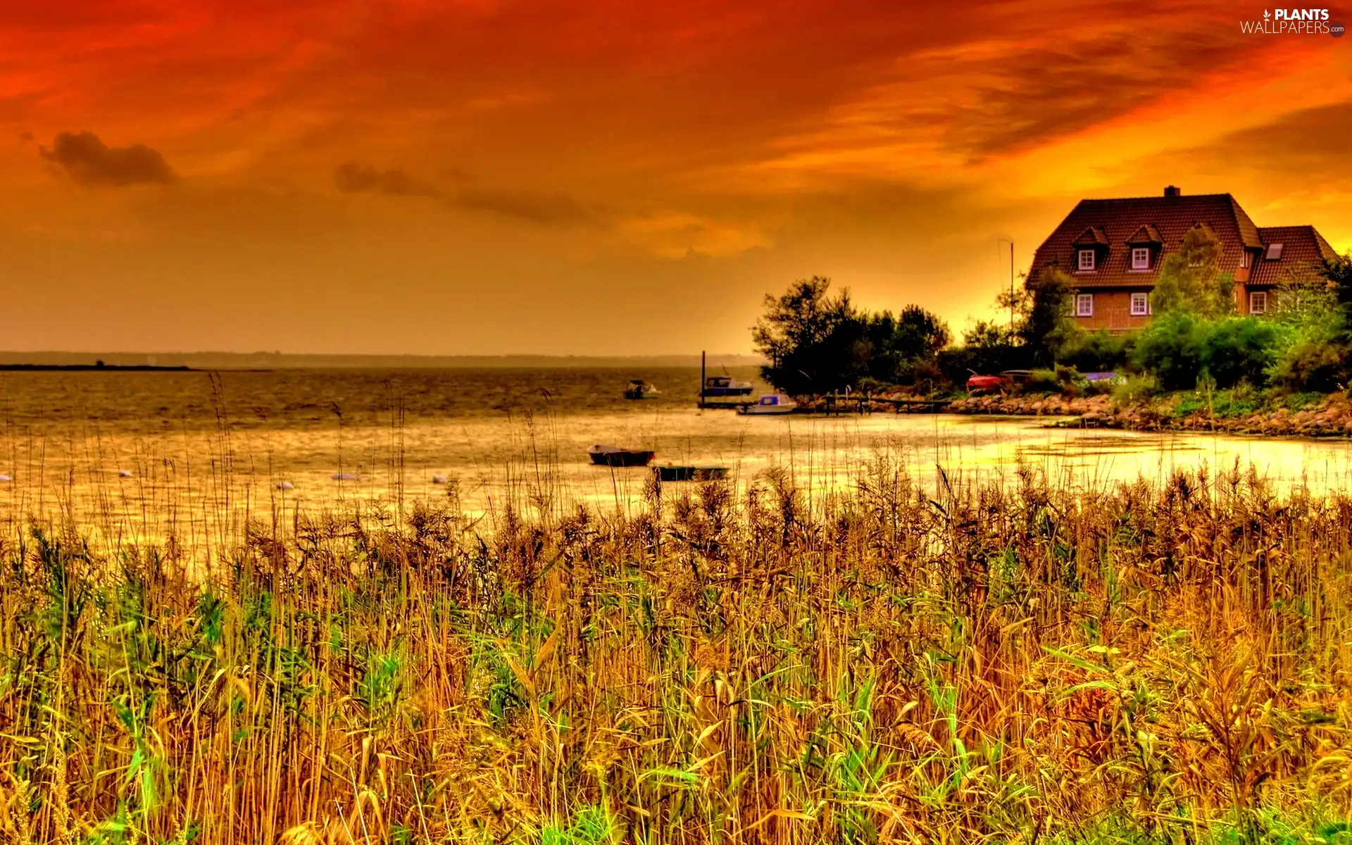 grass, house, sun, lake, west