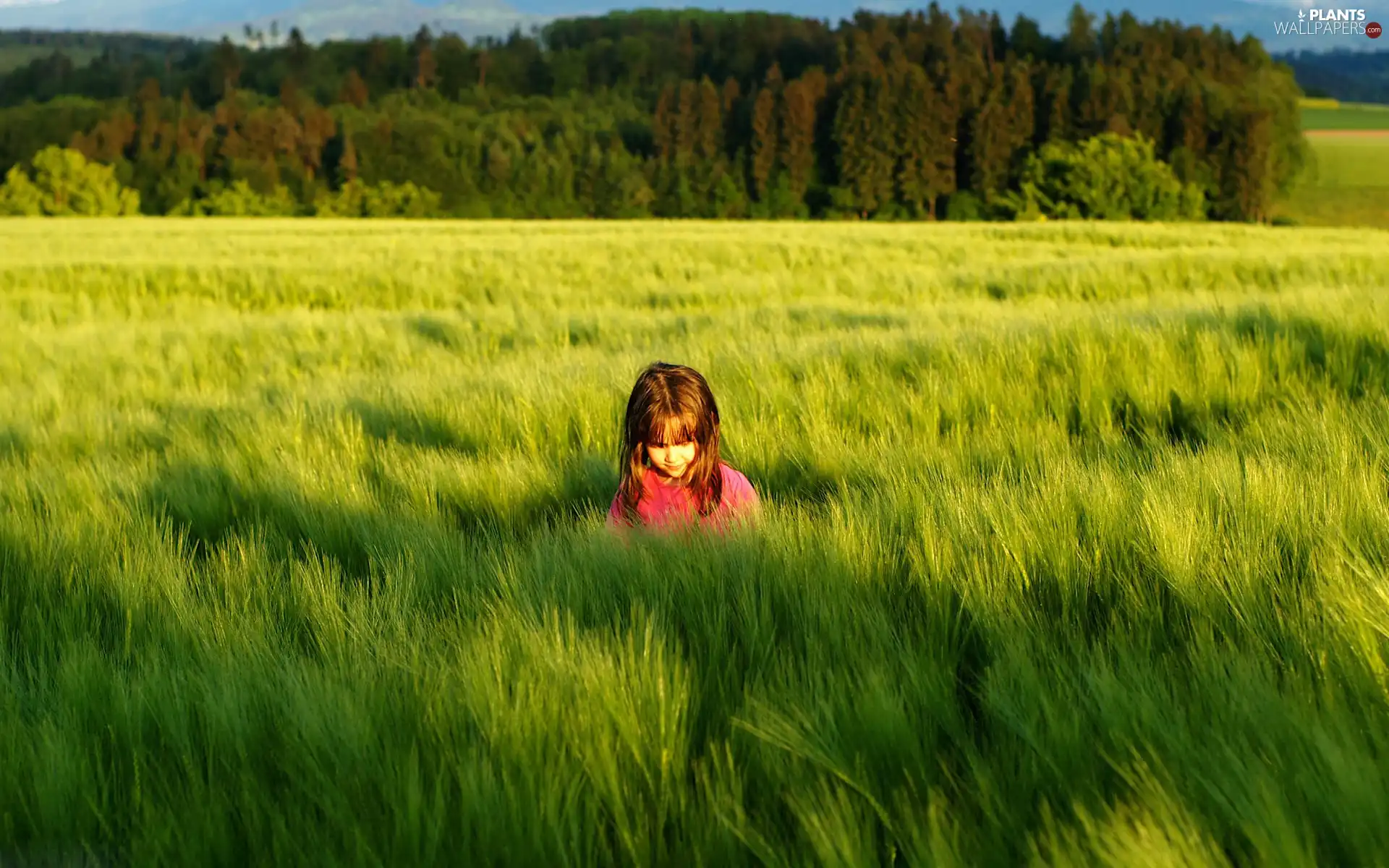 Kid, grass