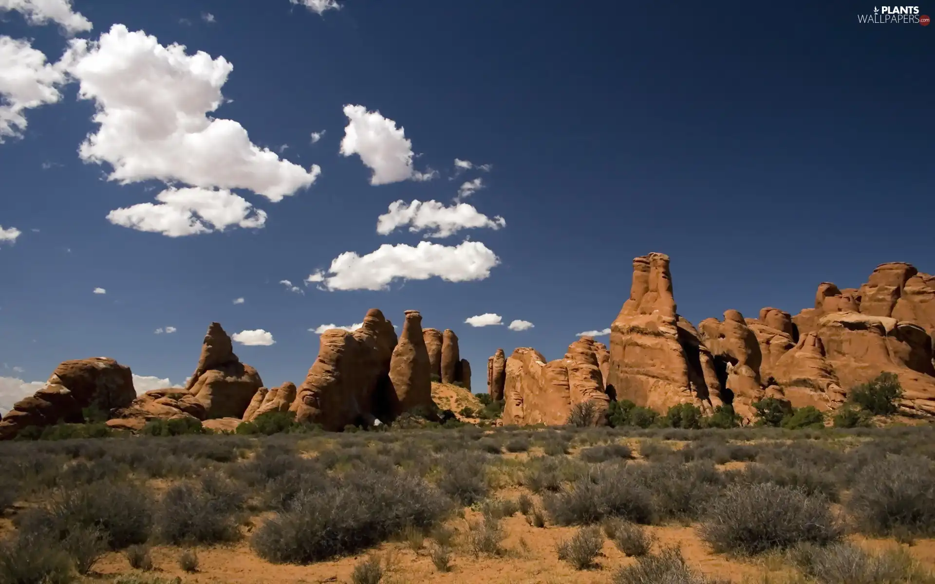 canyon, Clumps, grass, Stones rocks