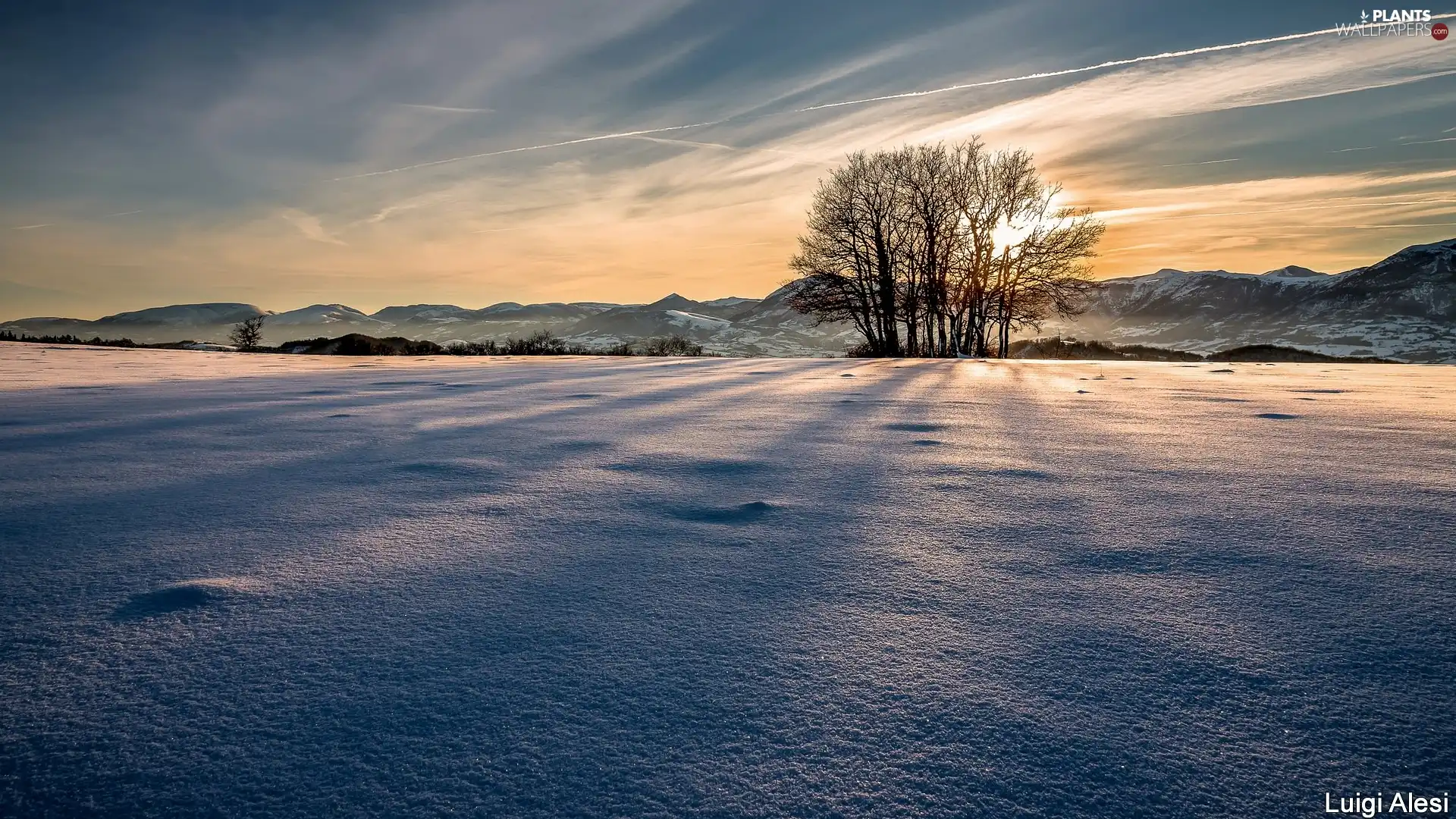 Mountains, winter, viewes, Great Sunsets, trees, snow