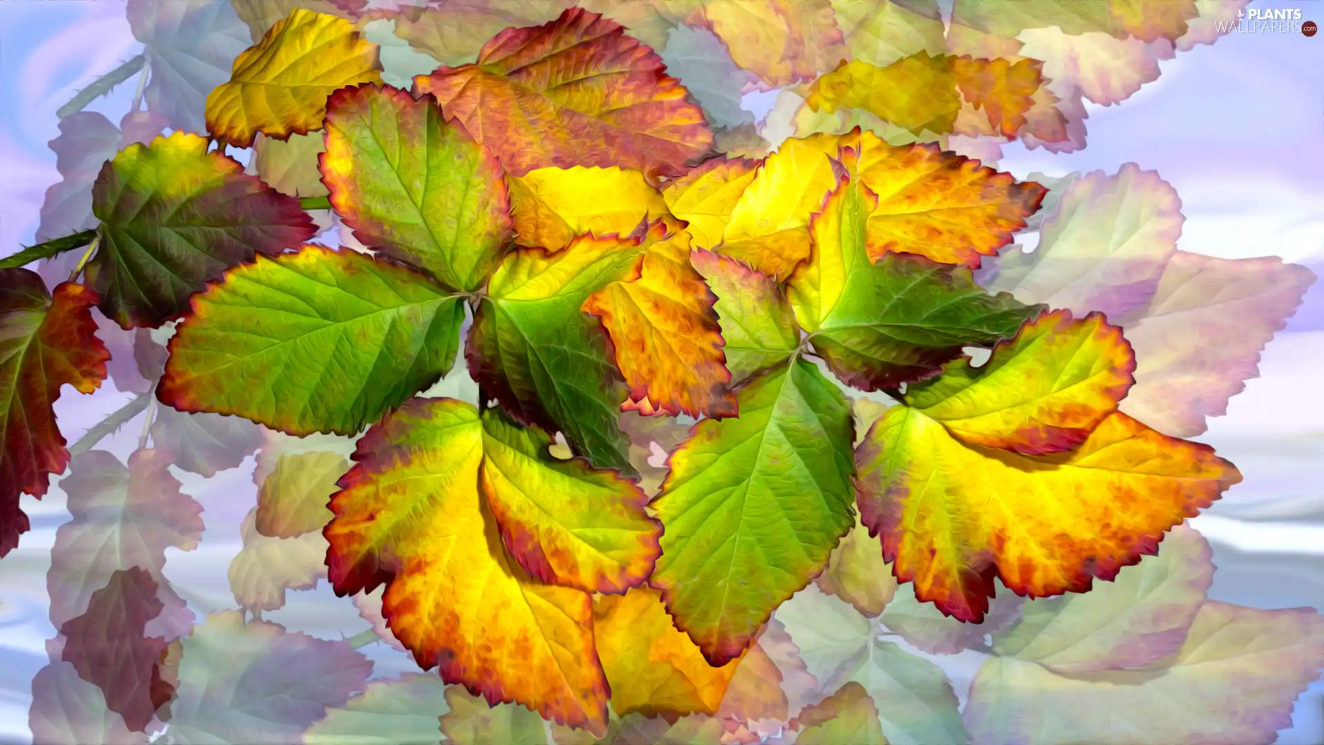 graphics, Green and Yellow, Leaf - Plants wallpapers: 1920x1080