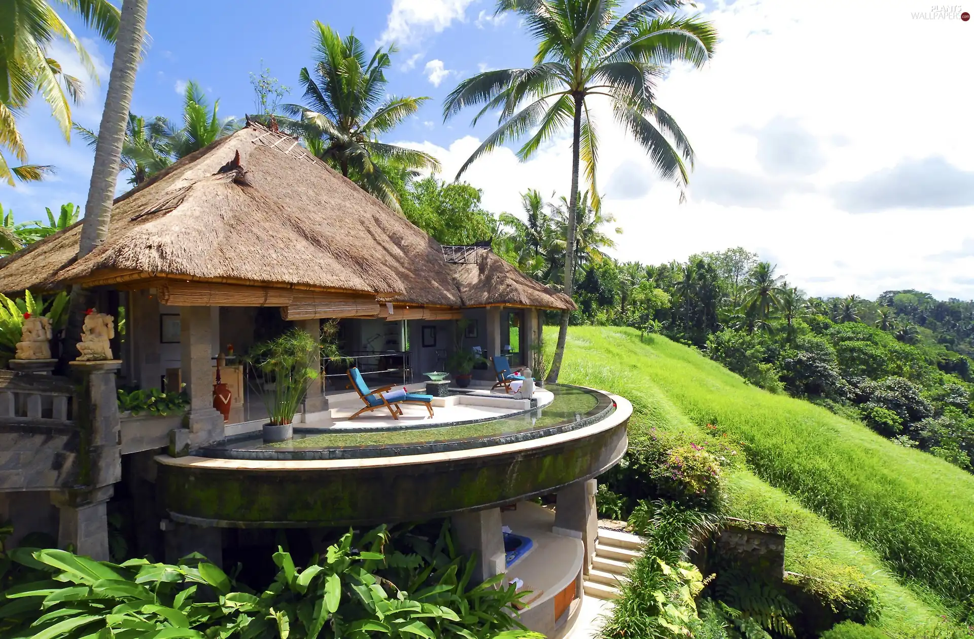 Hotel hall, Palms, Island, Bali, indonesia