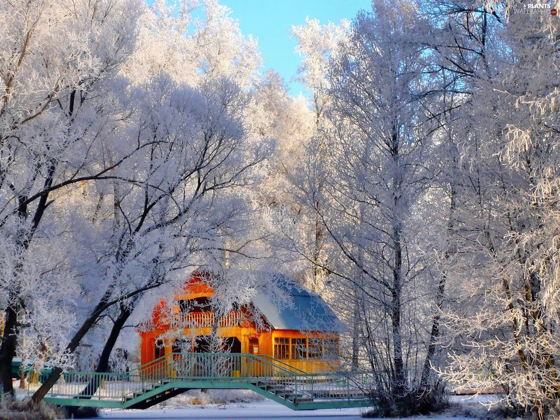 house, bridges, trees, viewes, winter