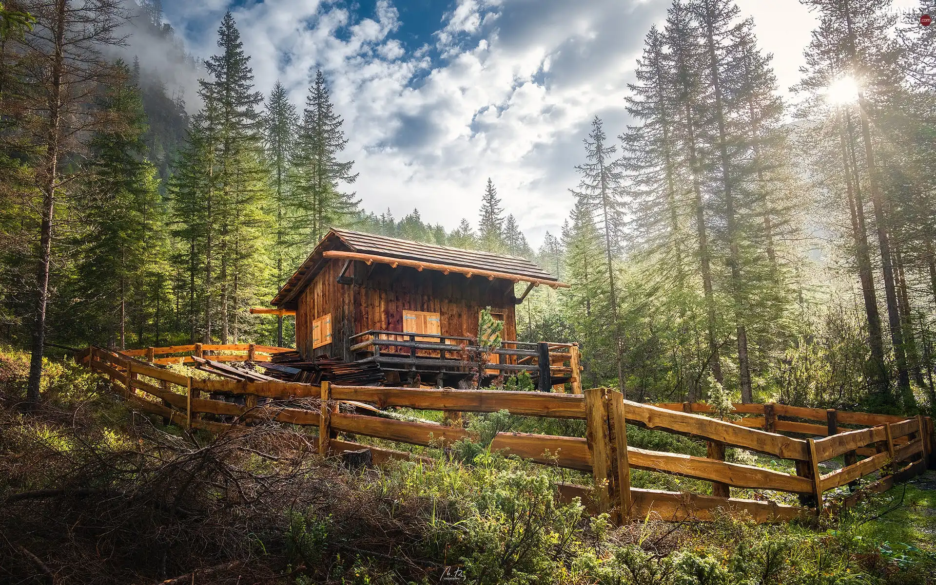 trees, viewes, clouds, VEGETATION, fence, forest, Mountains, house