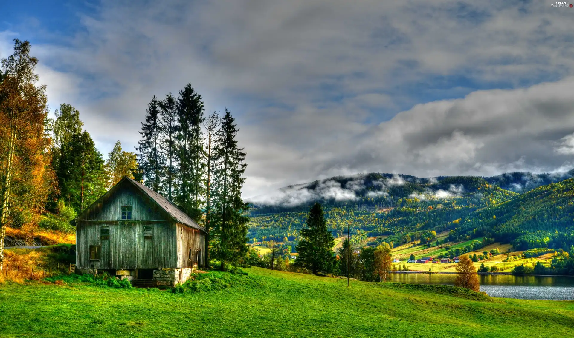 Fog, lake, HDR, grass, viewes, Mountains, Home, trees