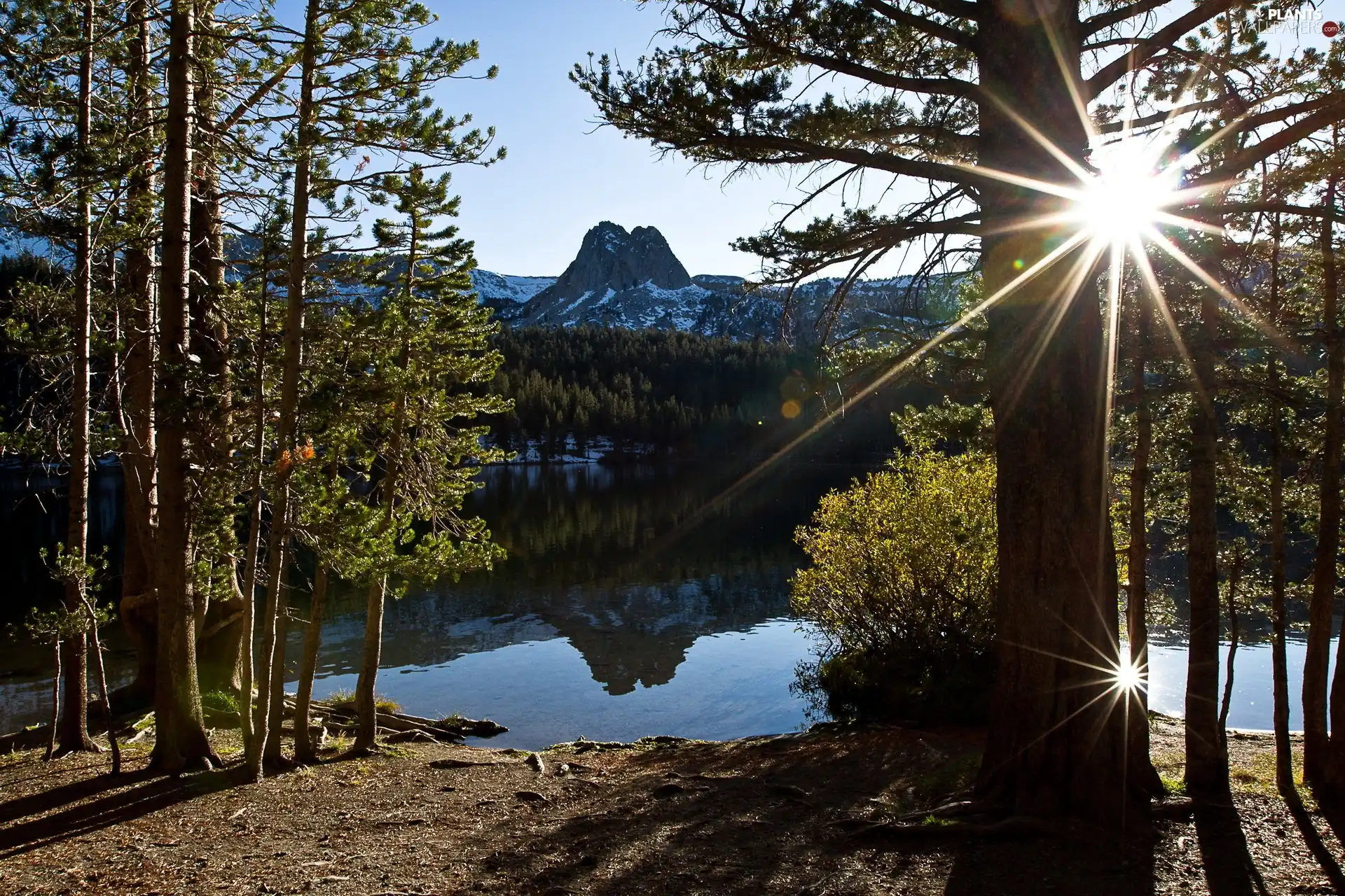 lake, sun, trees, viewes, lake