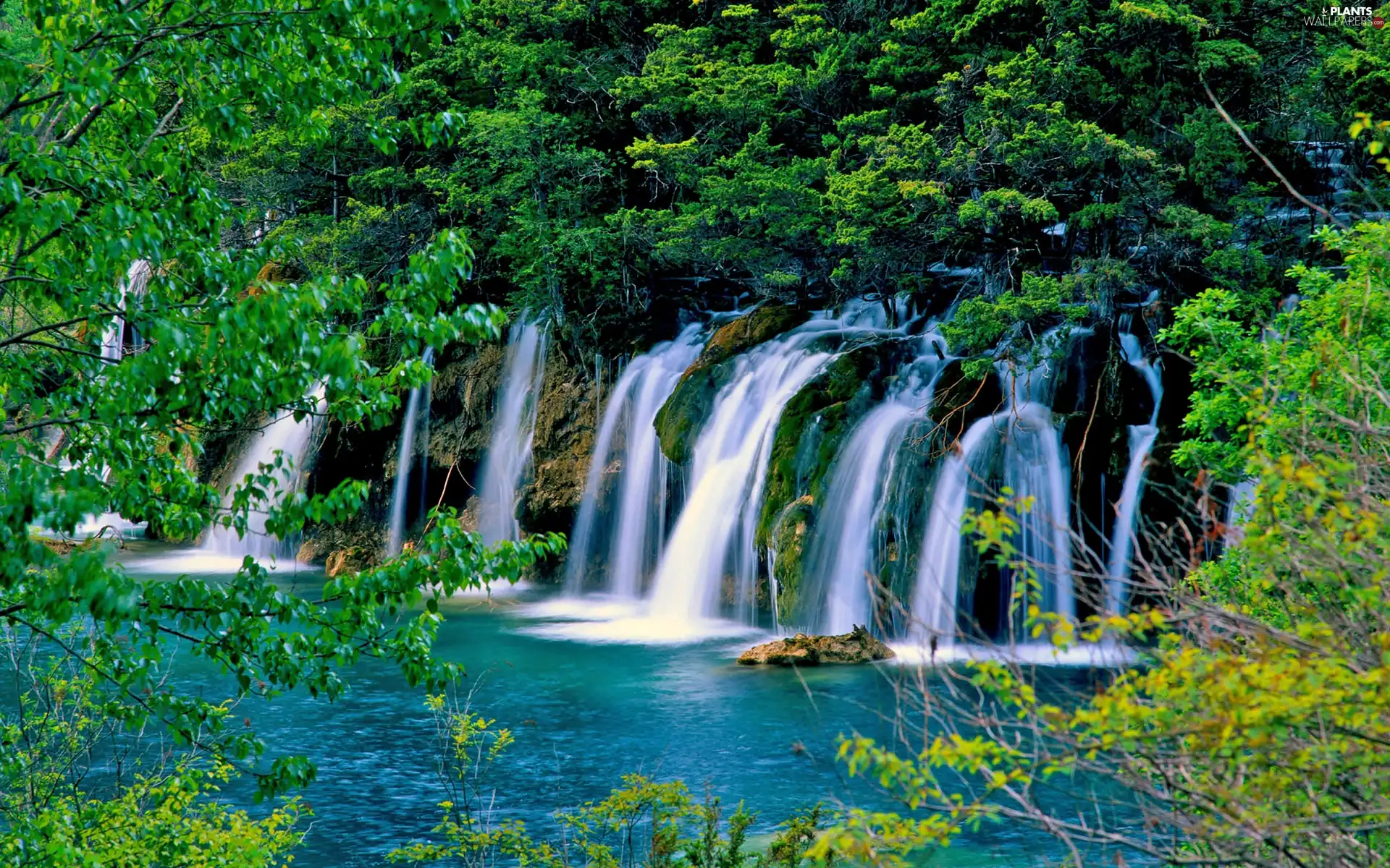 Waterfalls Viewes Lake Trees Plants Wallpapers 2560x1600