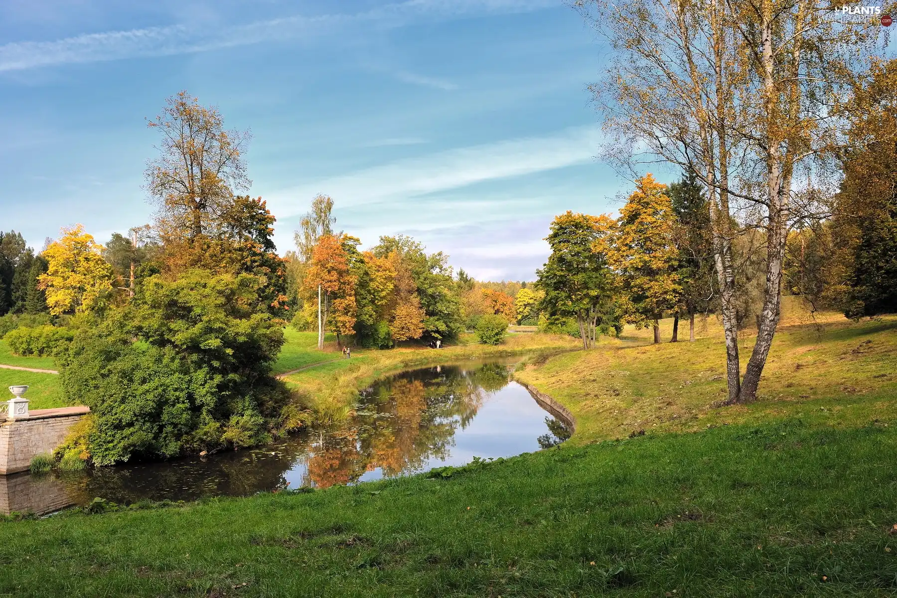 viewes, Park, lane, autumn, brook, trees