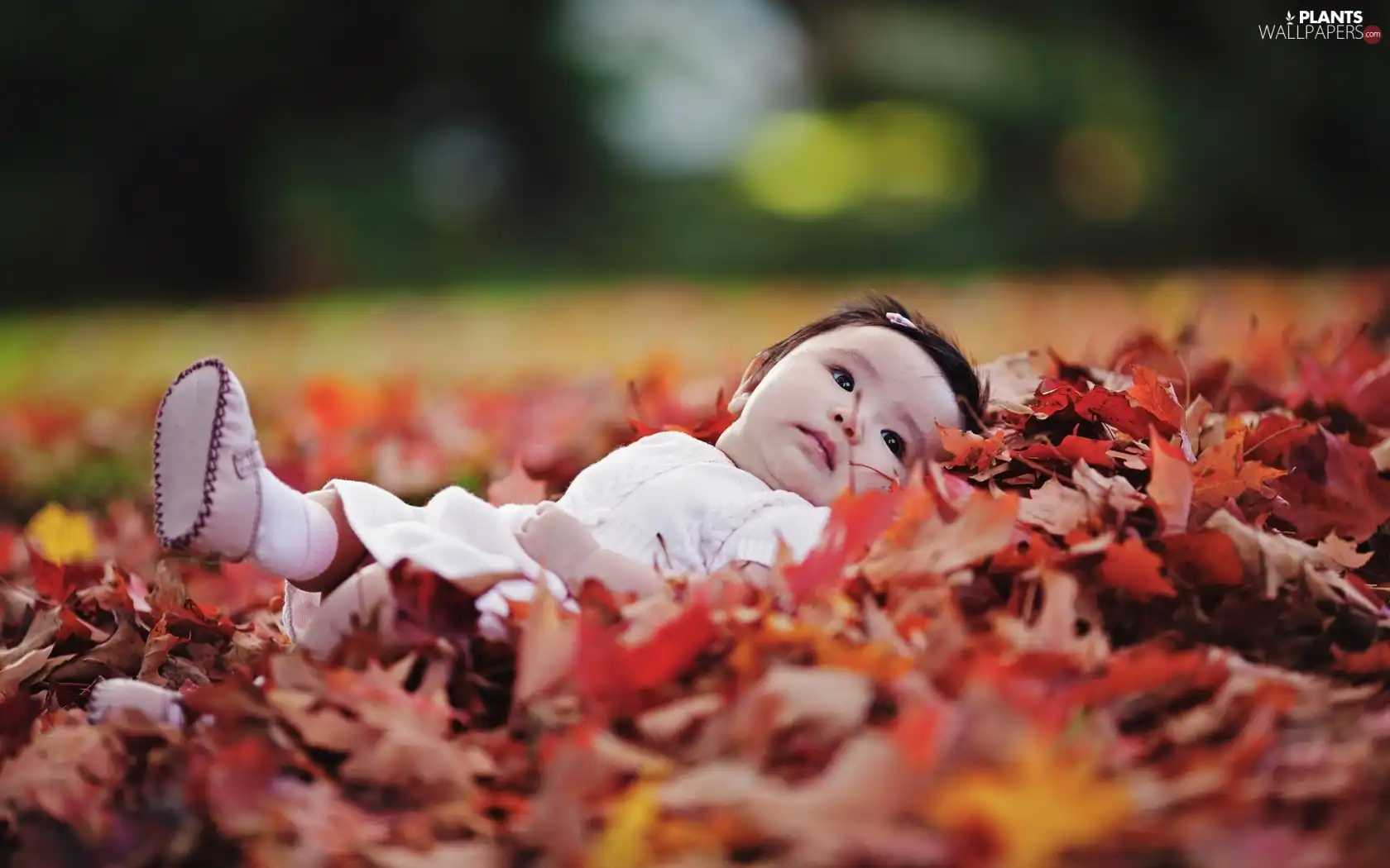 Leaf, small, girl