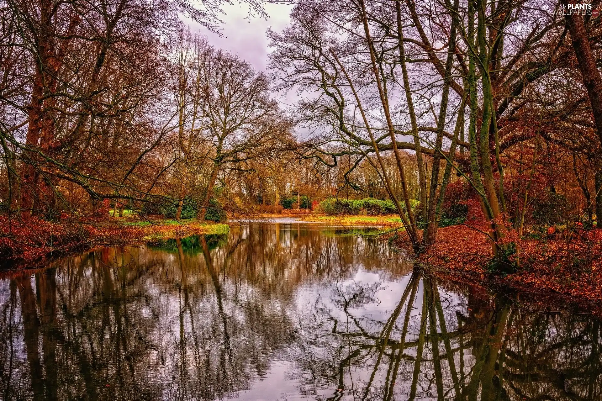 Pond - car, trees, fallen, viewes, autumn, Park, Leaf