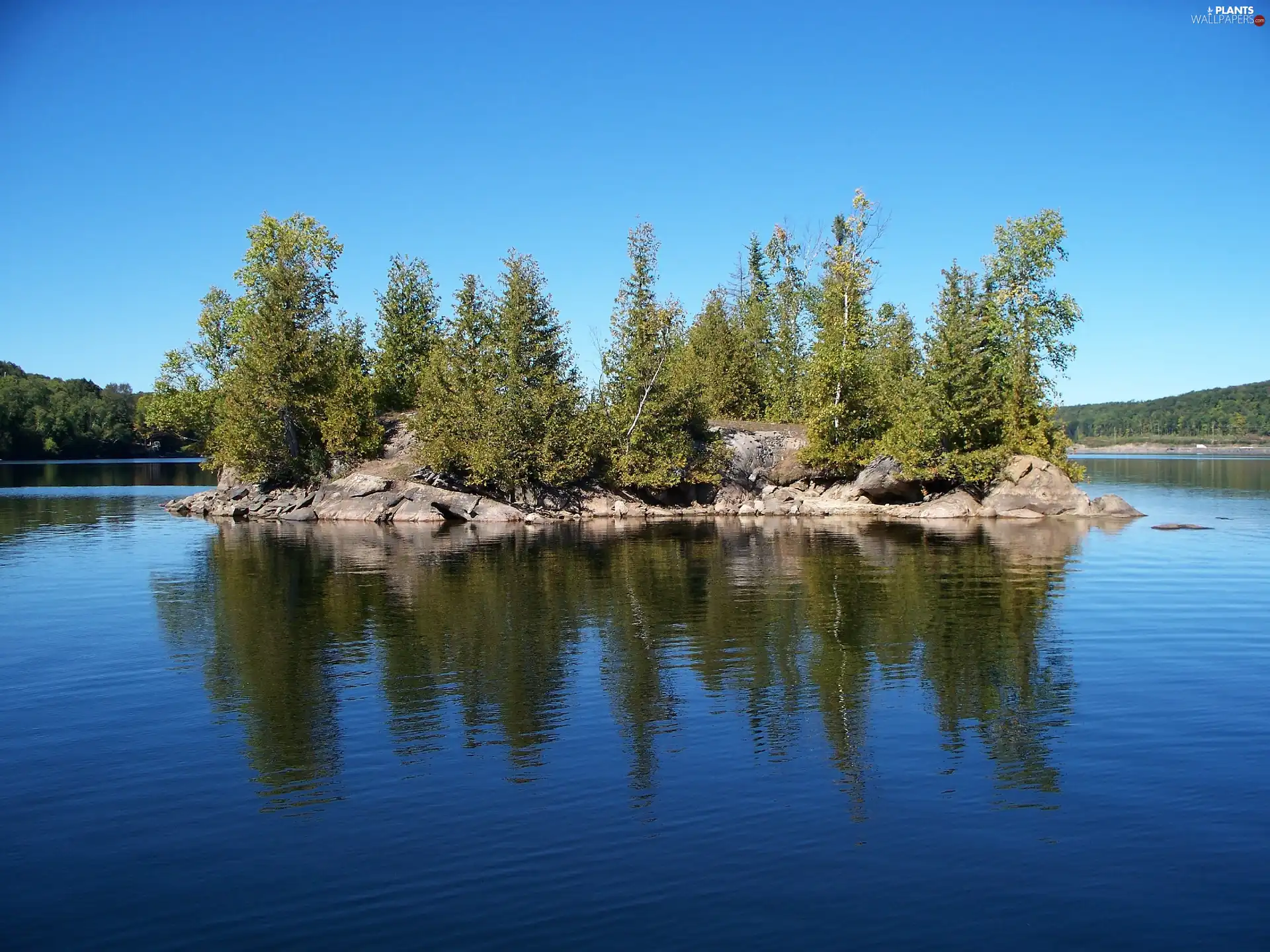 viewes, Islet, Loon, California, lake, trees