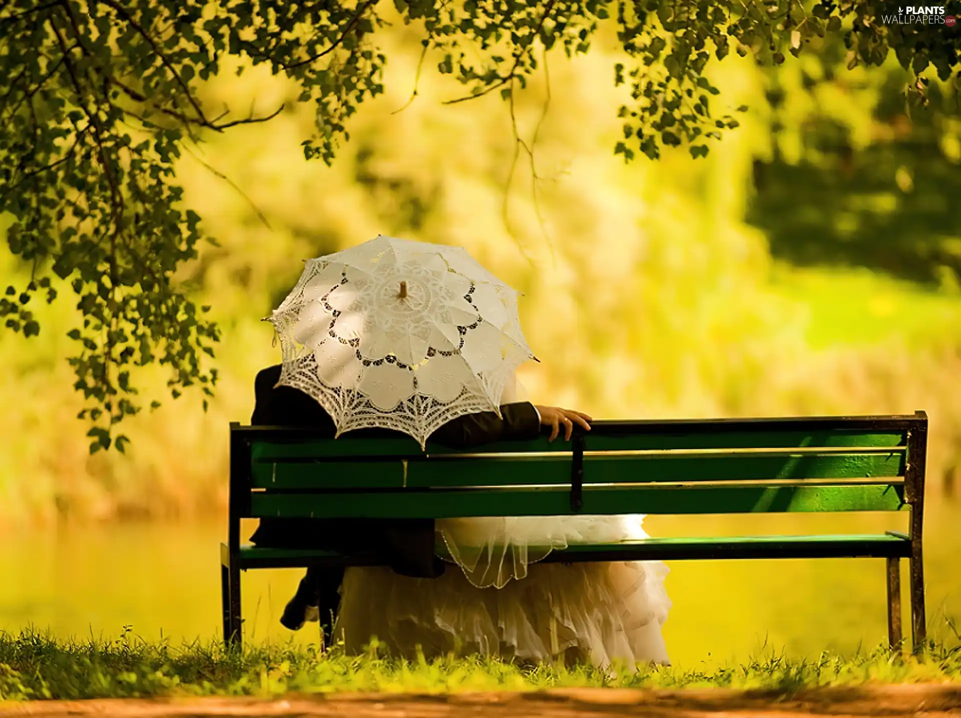 Park, Steam, lovers, Bench