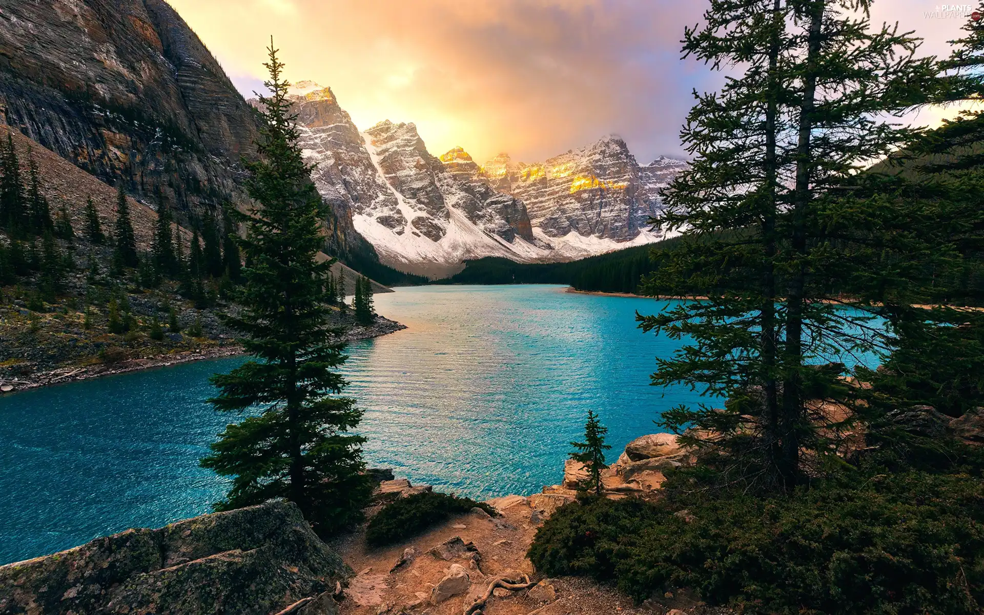 forest, Alberta, Lake Moraine, viewes, Valley of the Ten Peaks, Canada, Banff National Park, Mountains, trees, Valley of the Ten Peaks