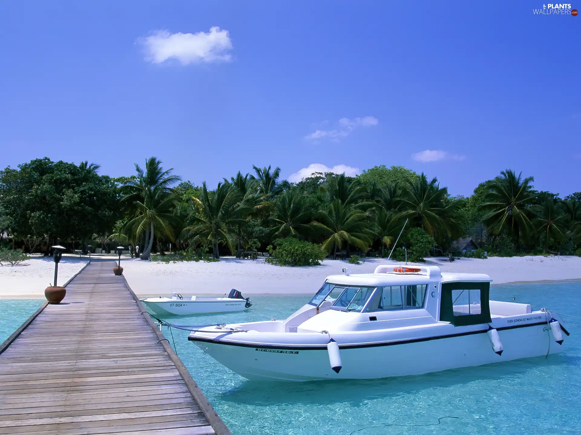 Beaches, Platform, Motor boat, Palms