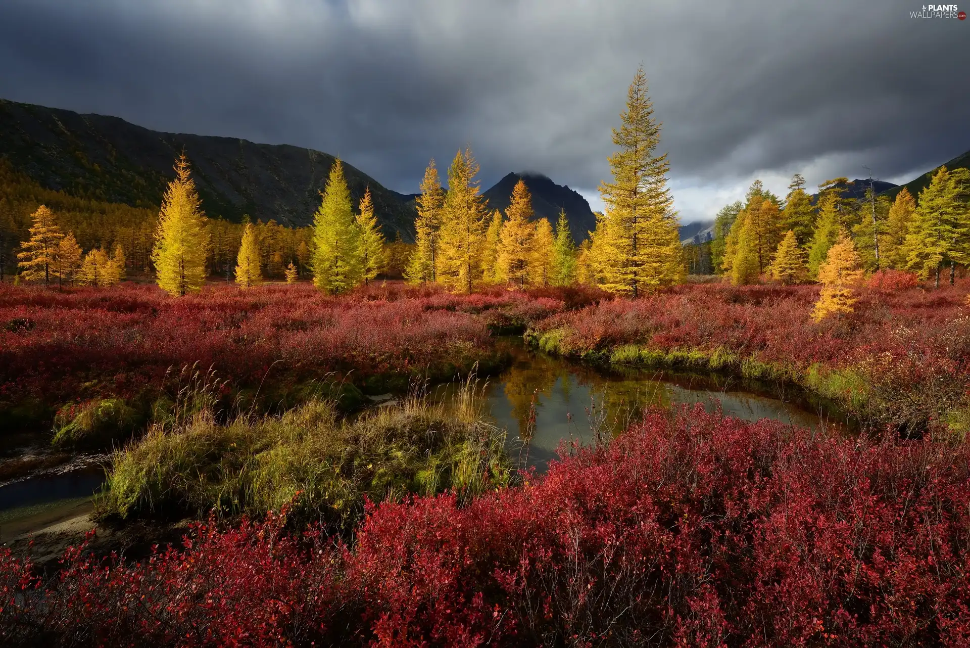 Mountains Trees Magadan Circuit Viewes Autumn Kolyma River Russia   Mountains Kolyma Autumn Trees River Magadan 