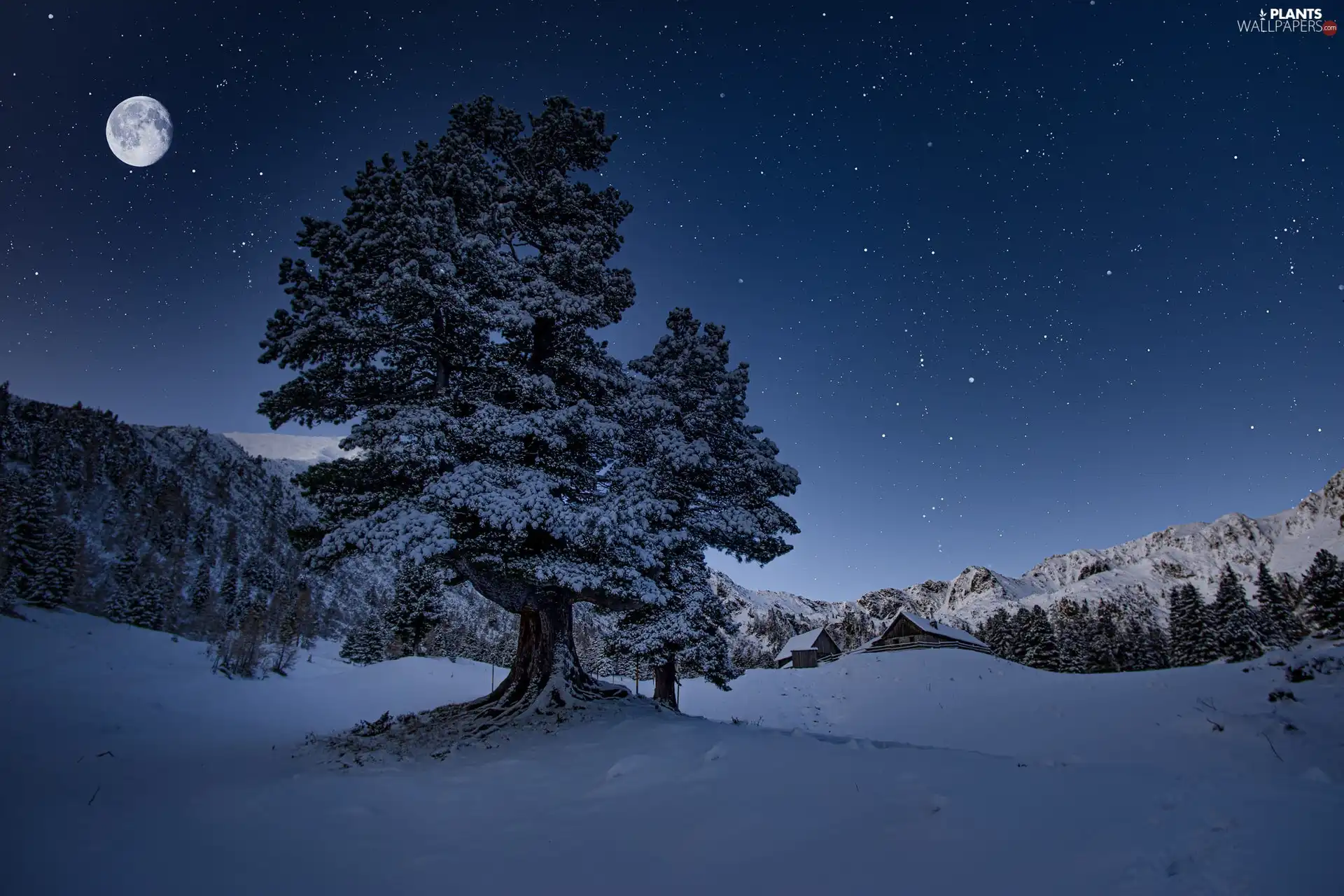 Night, winter, moon, star, Houses, snow, Mountains, forest, trees