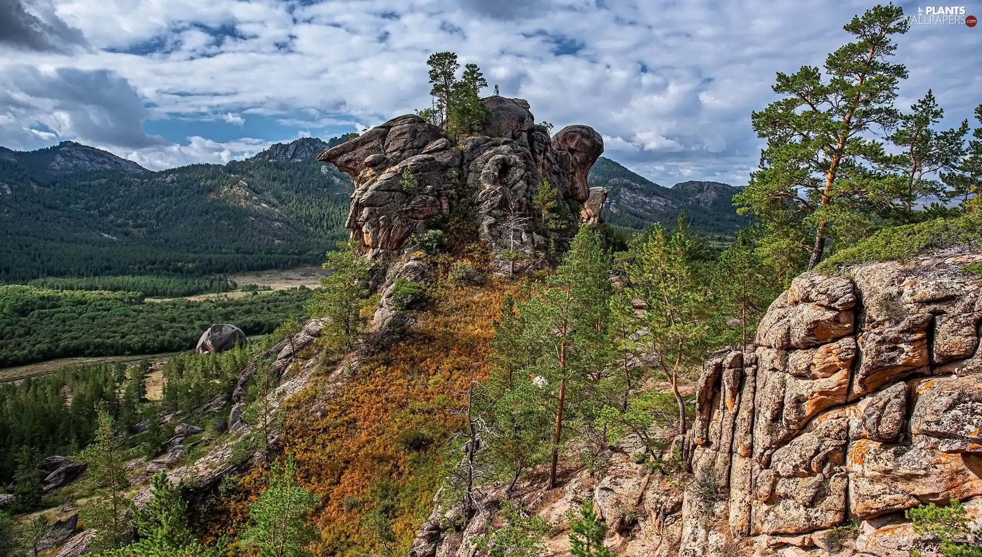 viewes, Plants, rocks, trees, Mountains