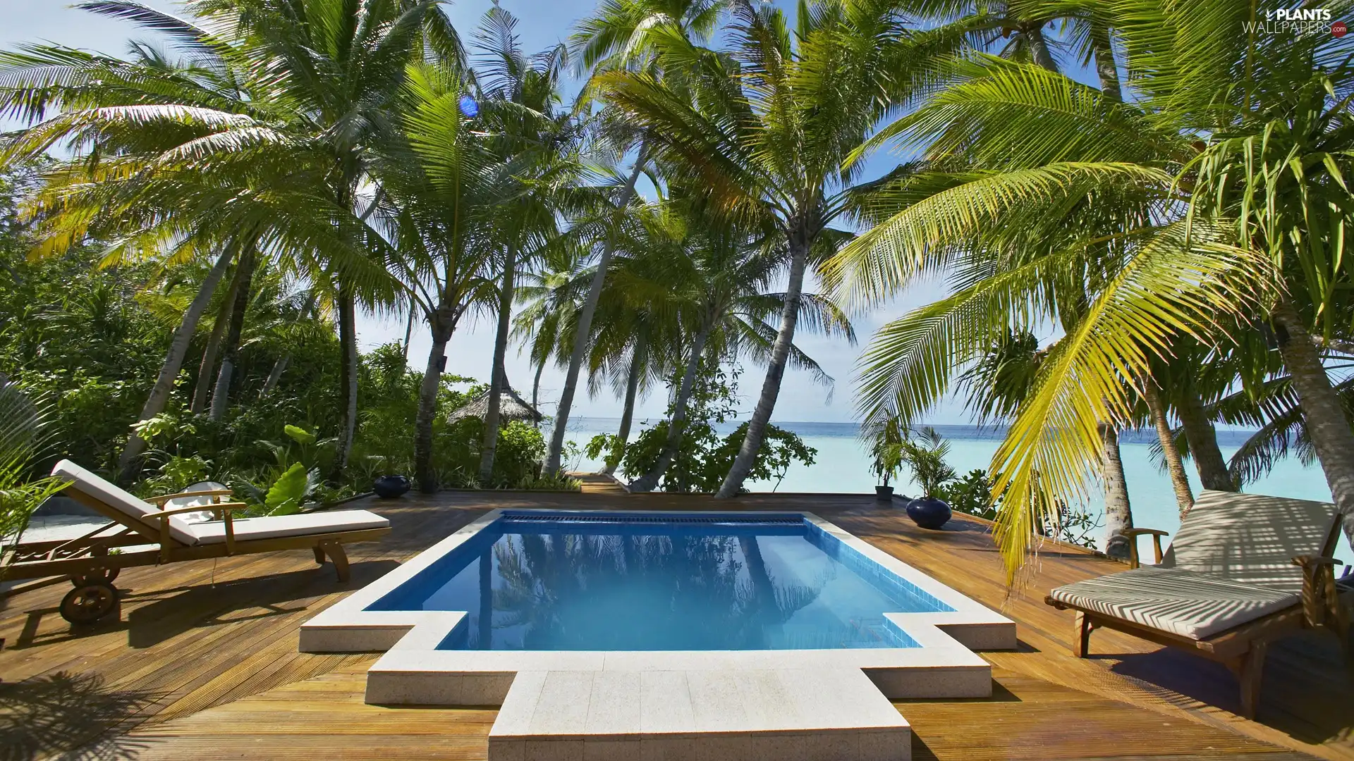 deck chair, holiday, Palms, Pool, Hotel hall