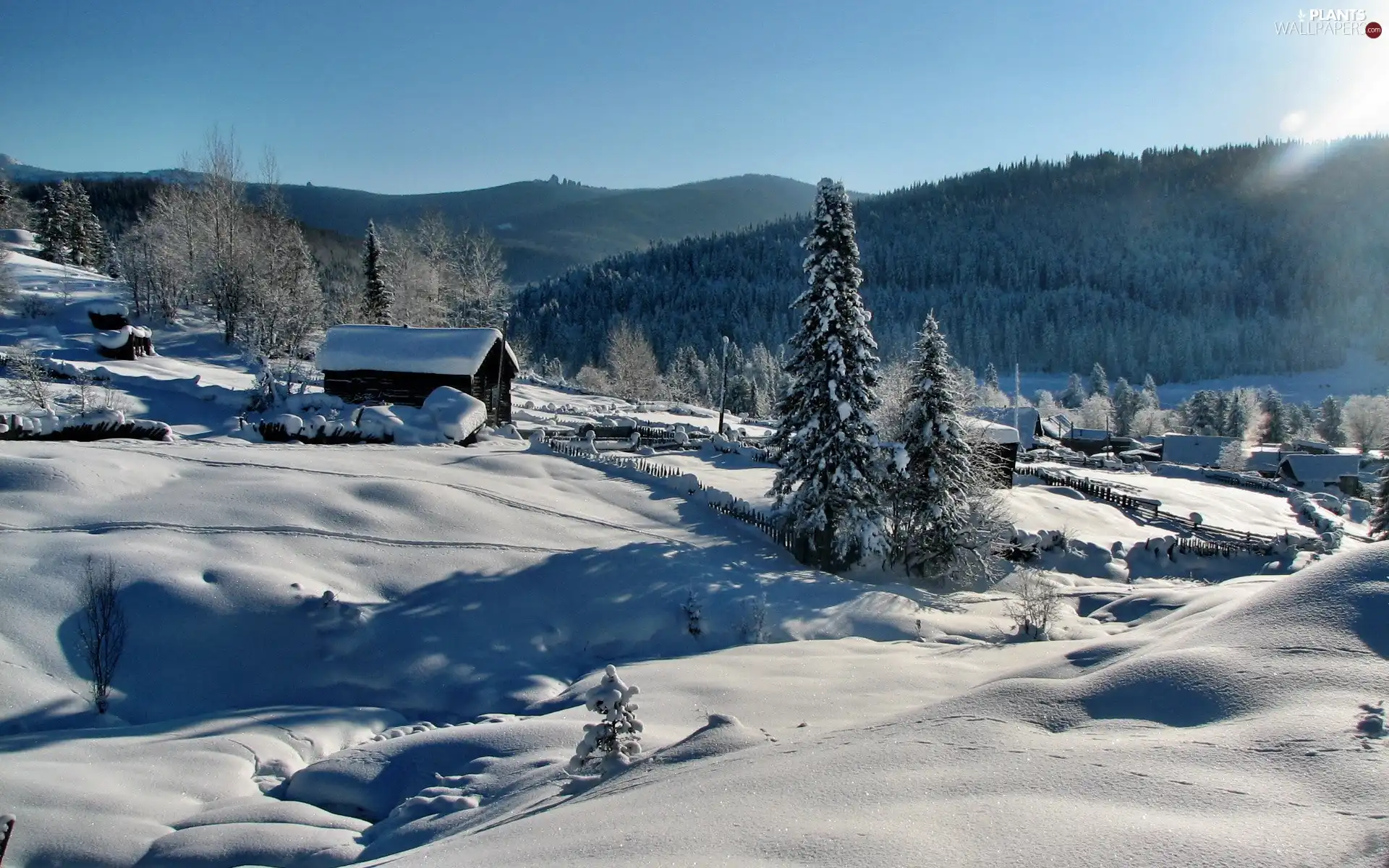 Home, Mountains, rays, sun, snow, woods