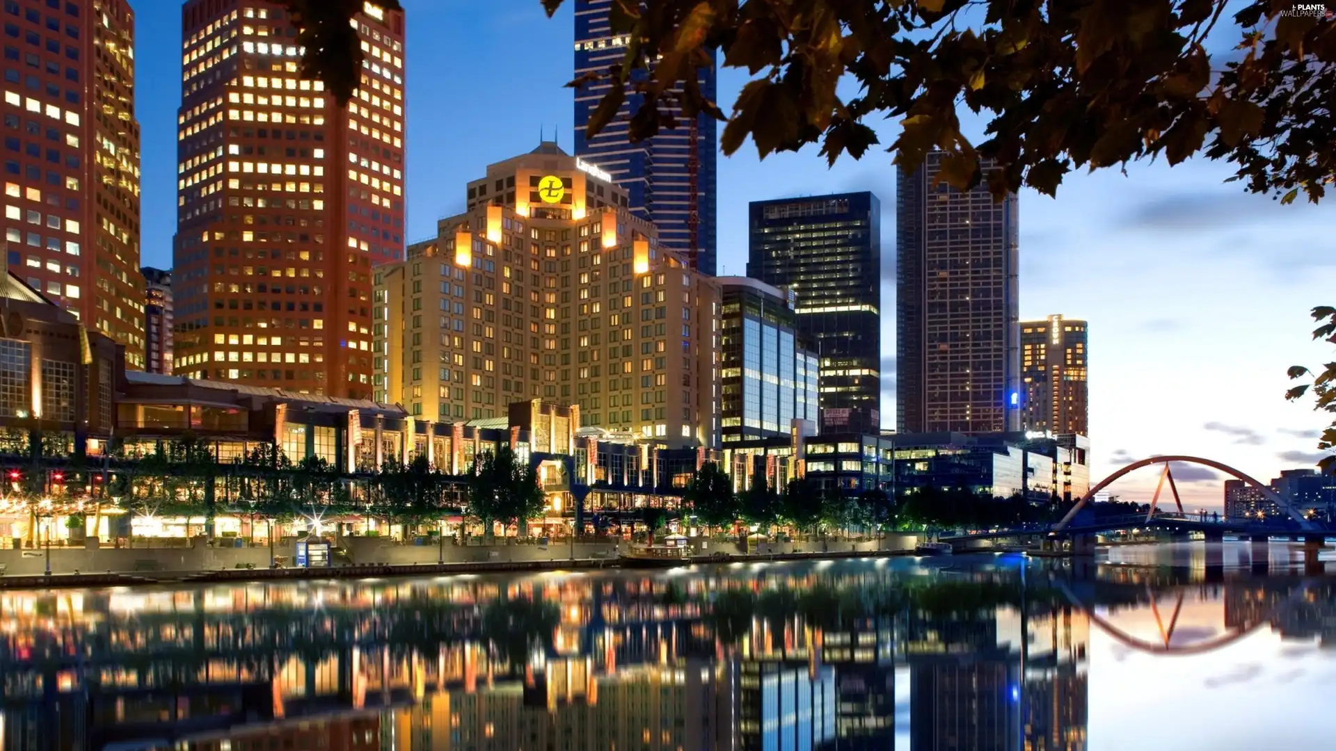 illuminated, by, river, skyscrapers