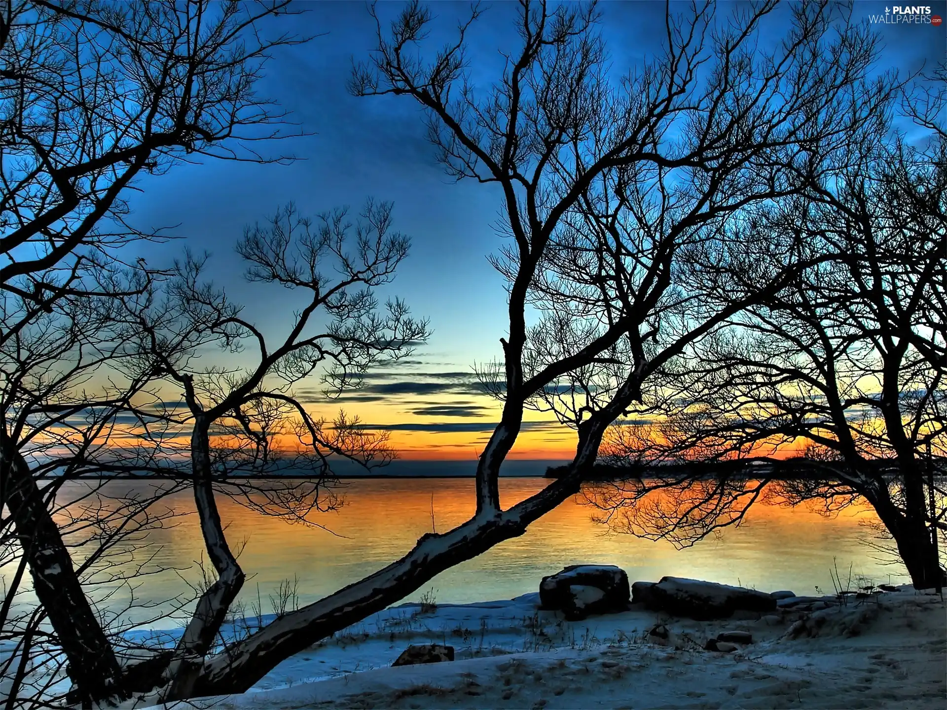 River, west, snow, Stones, Bare Trees, sun