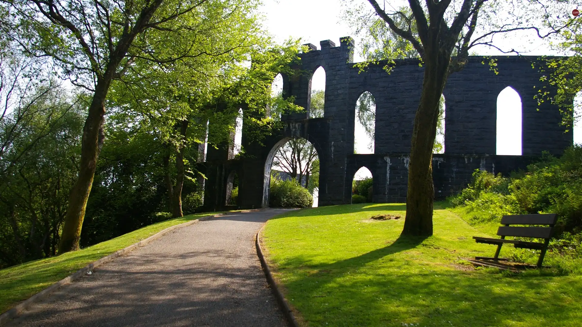 ruins, castle, trees, viewes, Park