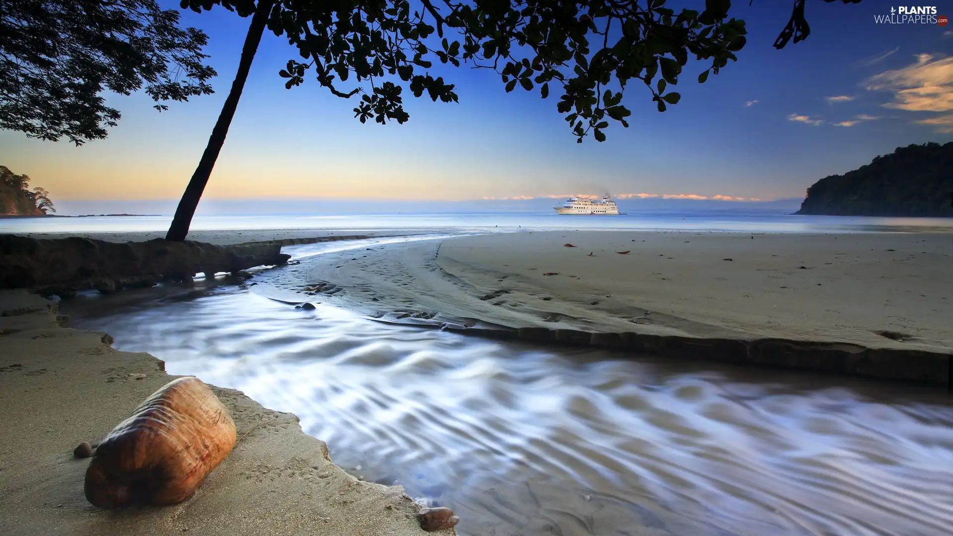 Beaches, sea, Ship, trees