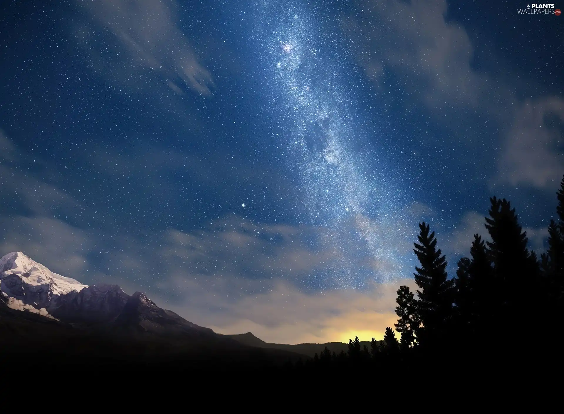 viewes, Mountains, starry, Sky, Night, trees