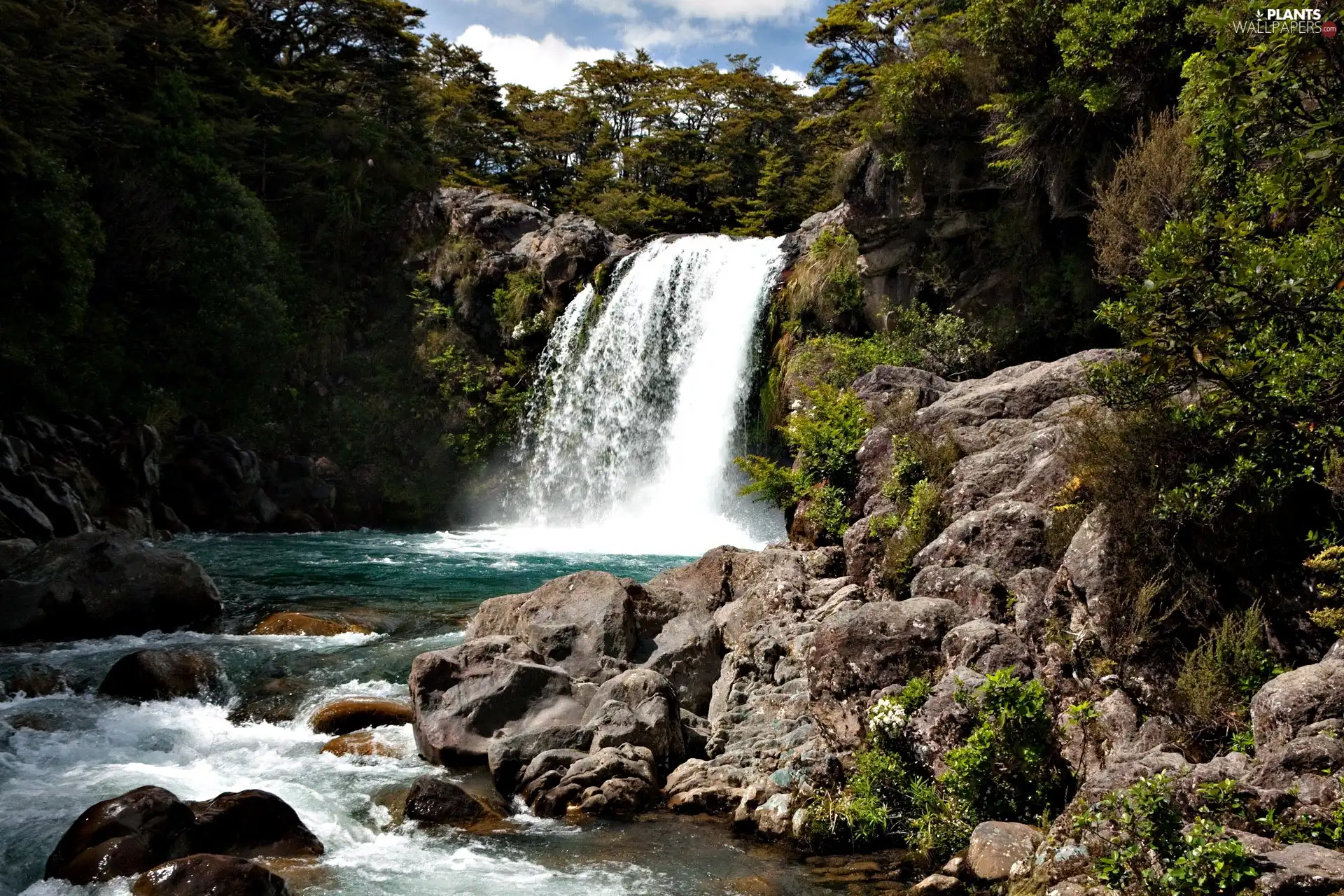 waterfall, viewes, Stones, trees