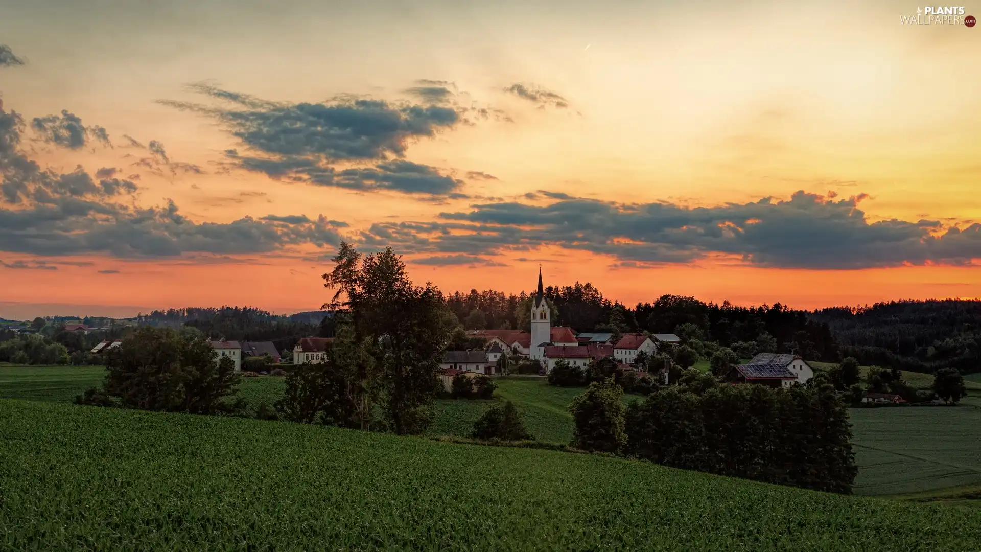 trees, Houses, Sky, Church, Field, viewes, Great Sunsets