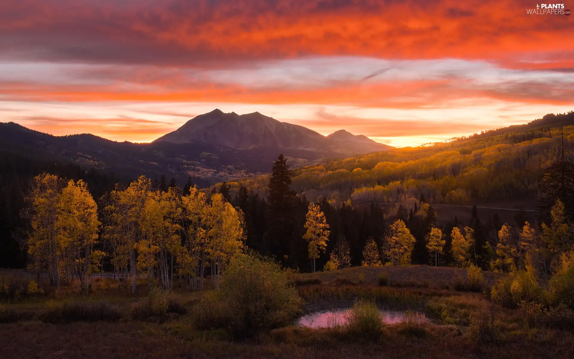 trees, viewes, clouds, autumn, Great Sunsets, forest, Mountains, Way