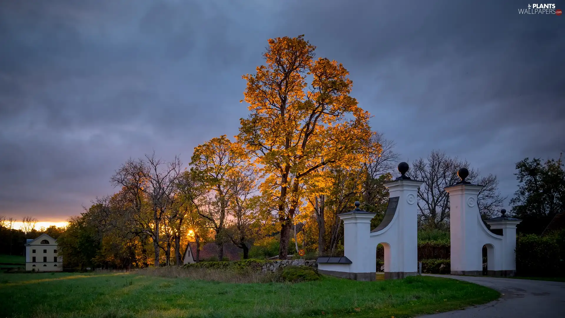 viewes, illuminated, Gate, trees, Yellowed, autumn, house