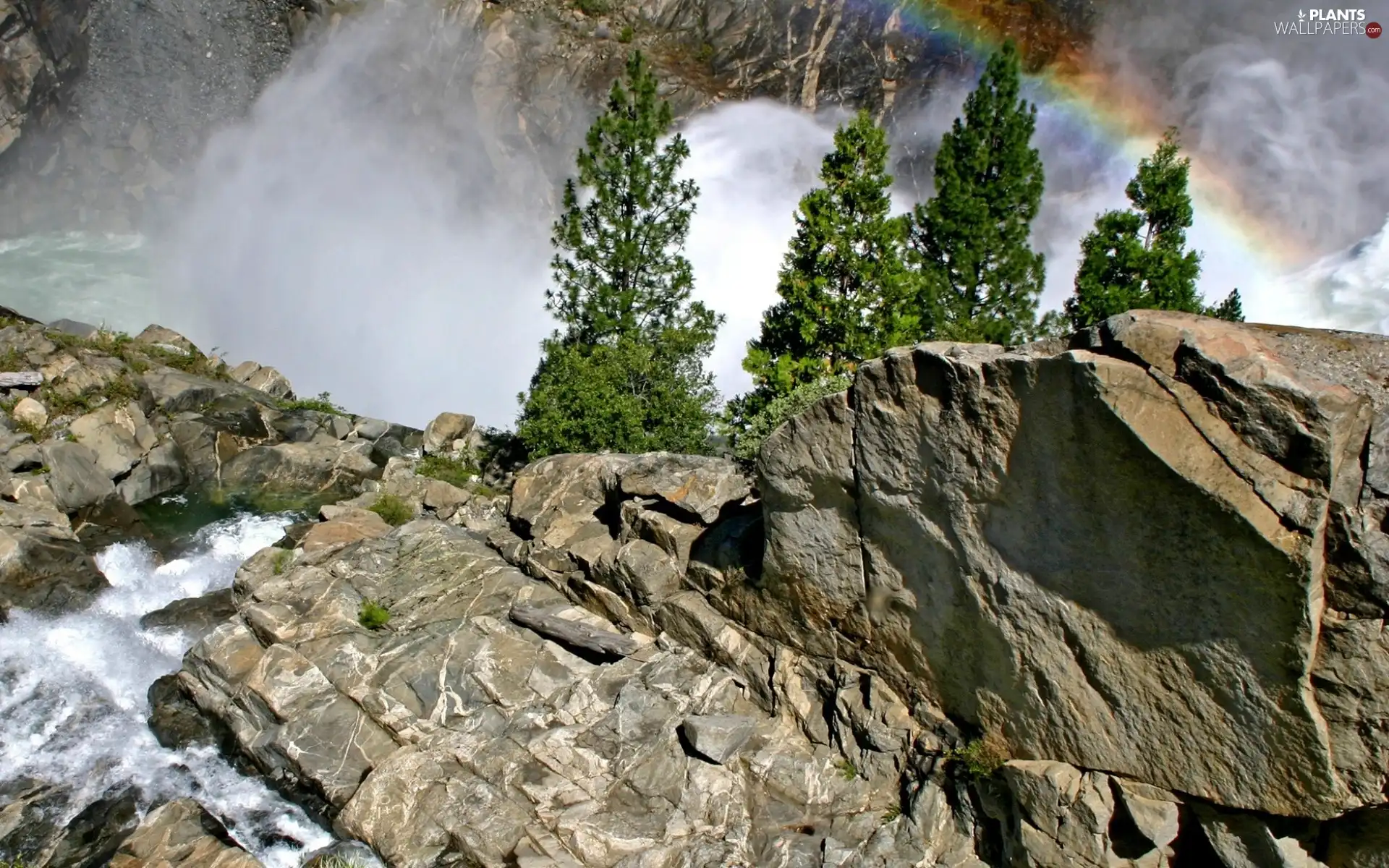 trees, viewes, Great Rainbows, waterfall, rocks