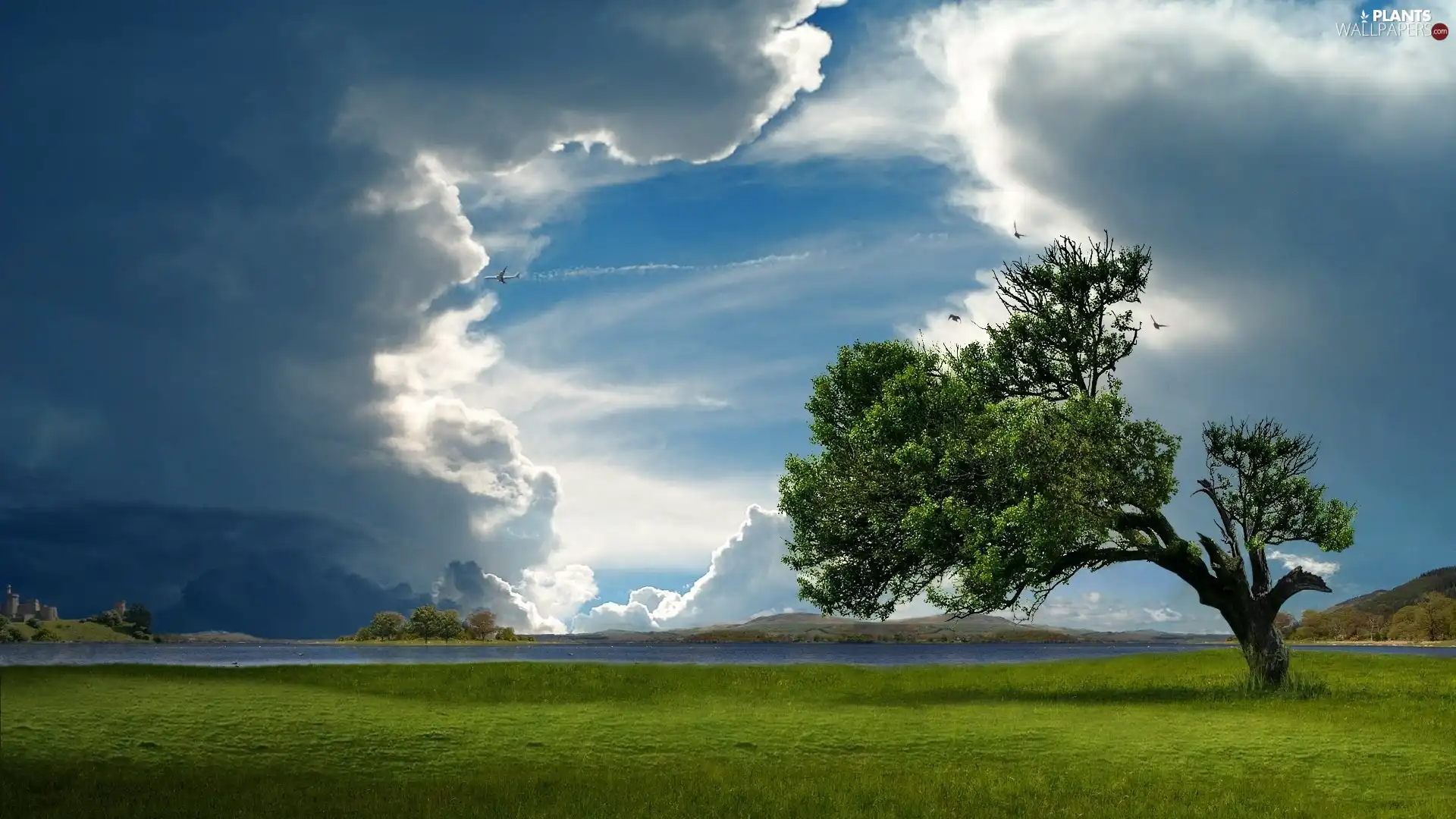 trees, clouds, lake