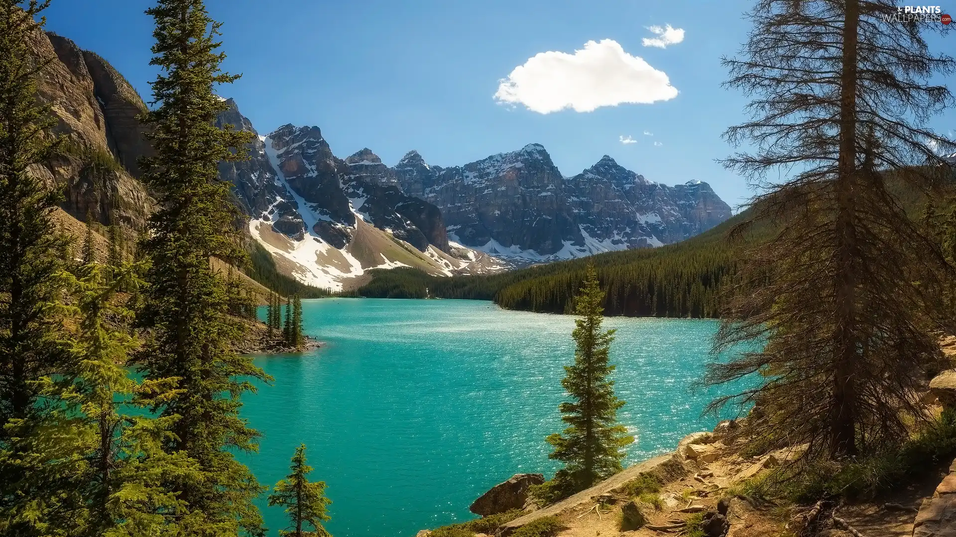 viewes, lake, Canada, Moraine Lake, Alberta, trees, Mountains, Banff National Park