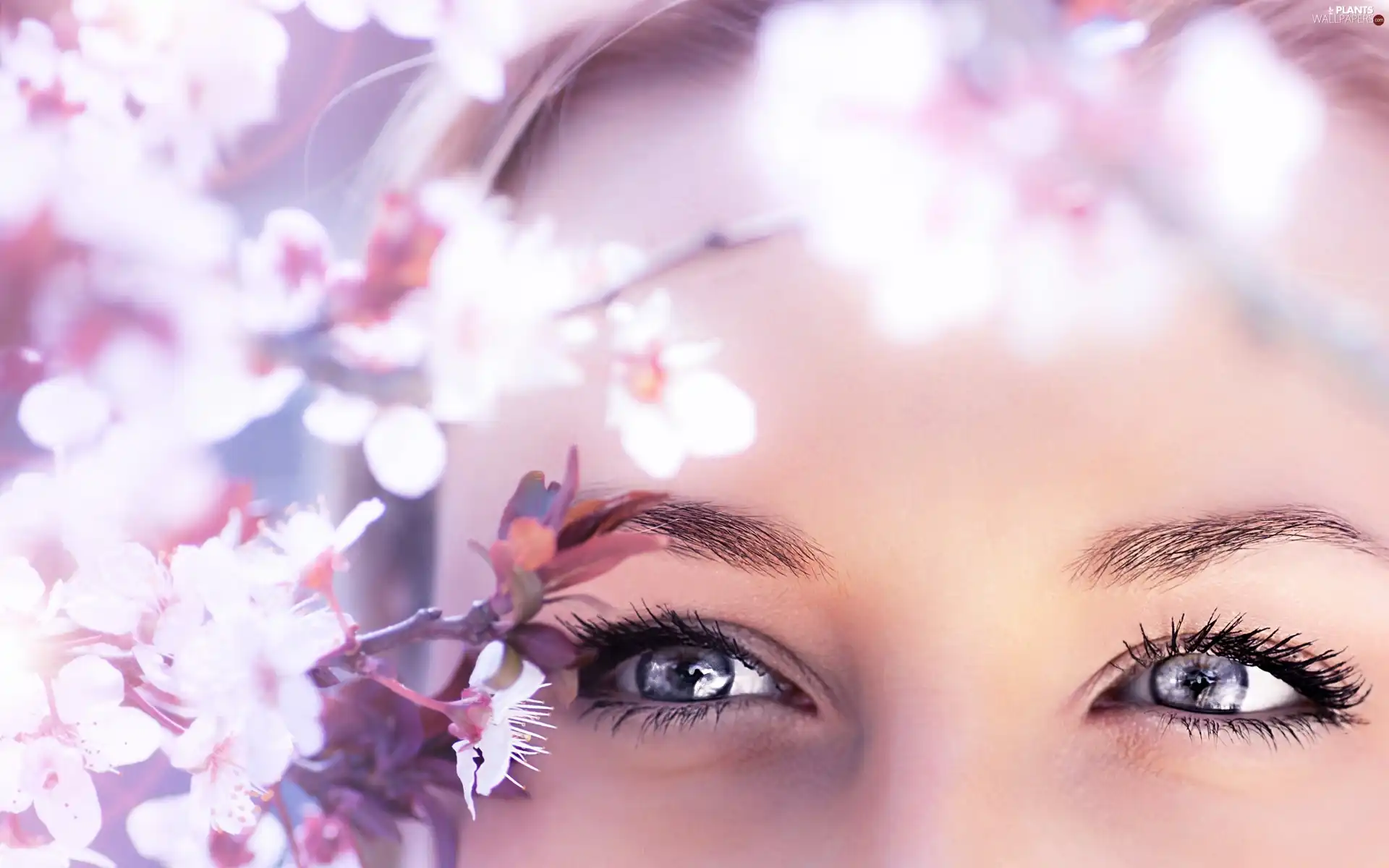 trees, viewes, Womens, flourishing, Eyes