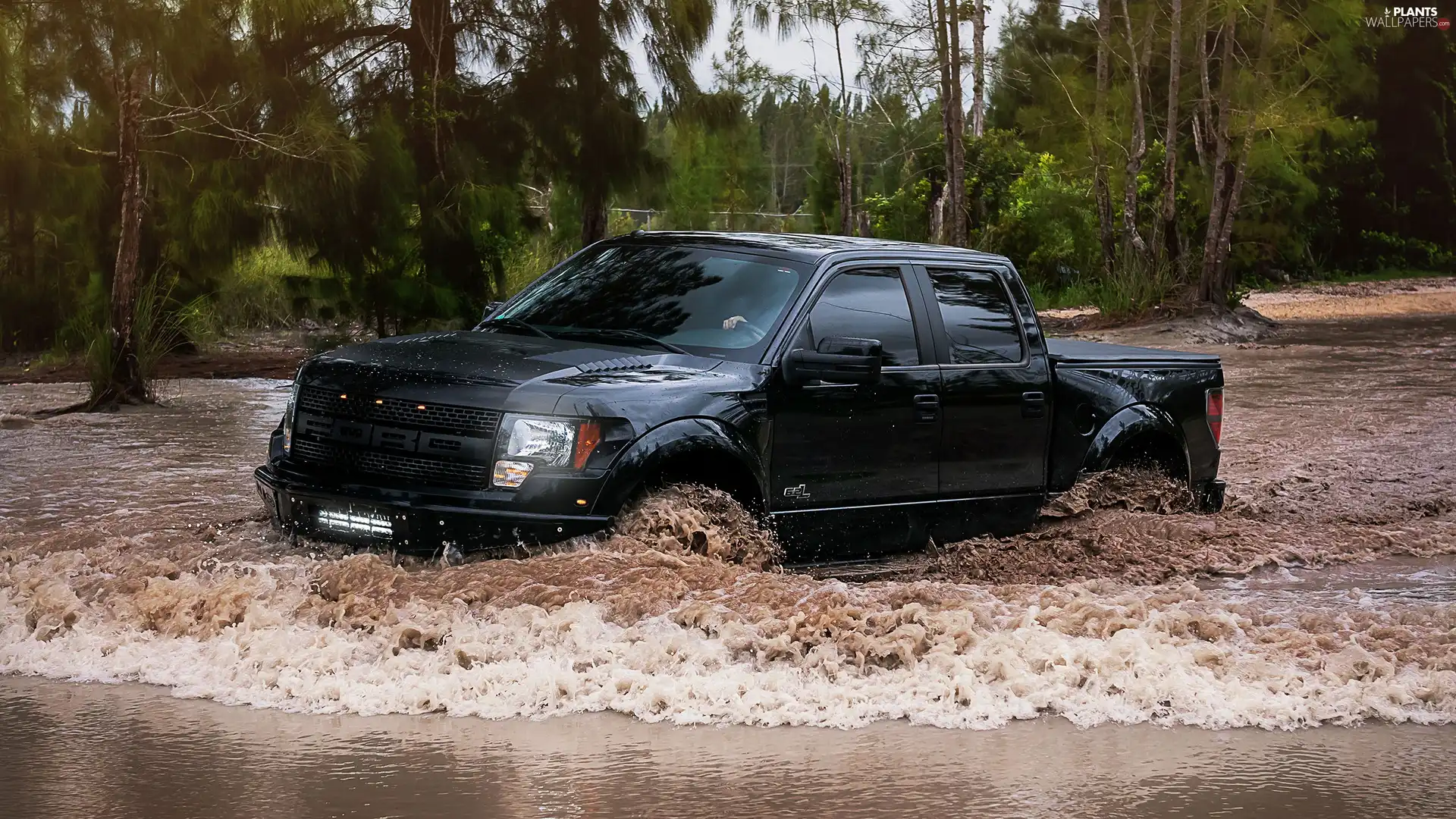 trees, viewes, Raptor, River, Ford